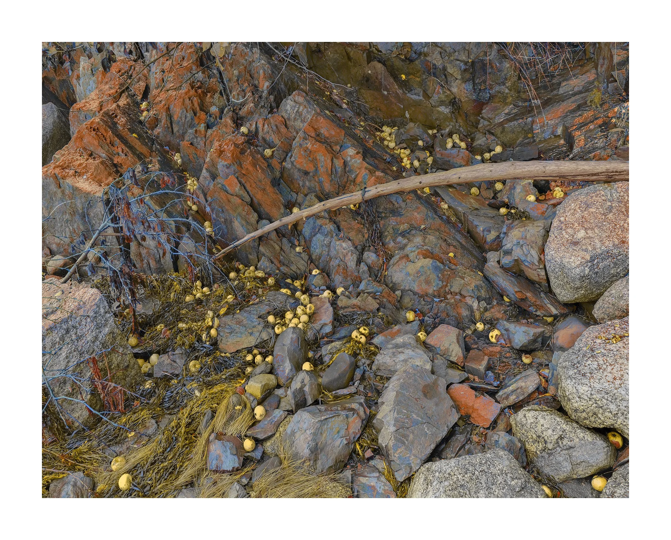 Mill Cove, Sandy Point  I