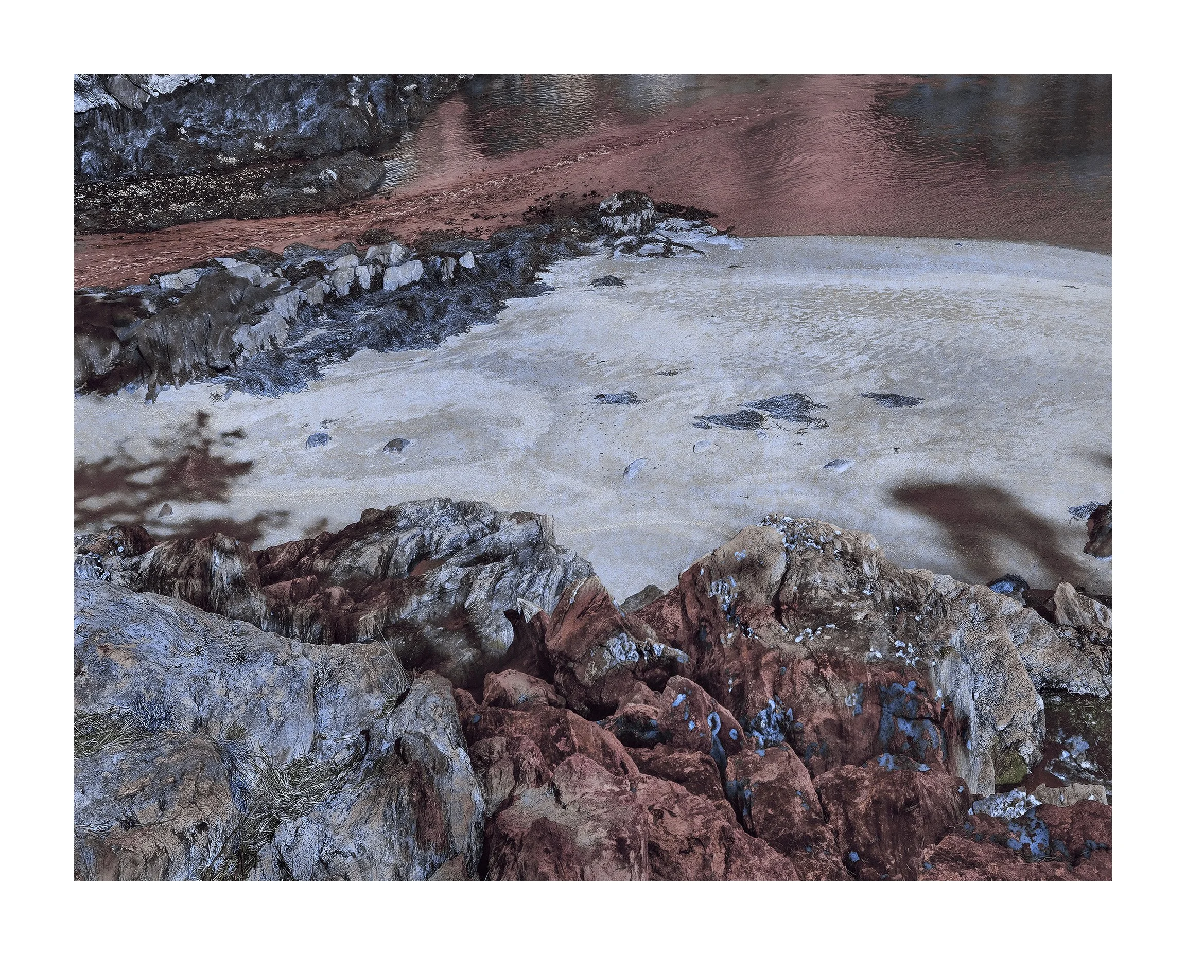 DSC5  g  8  28ww _.jpg