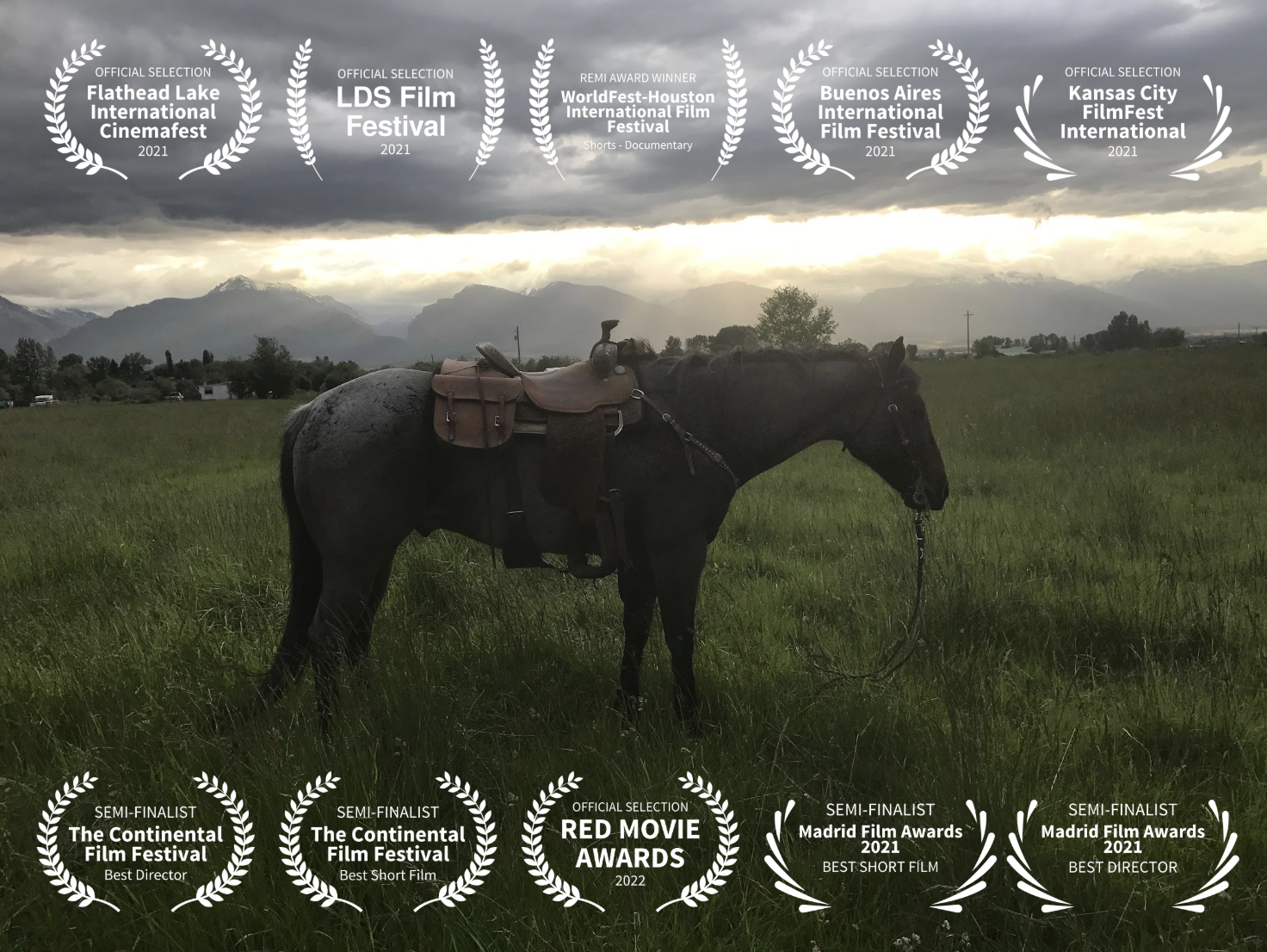 When Shadows Hint Death