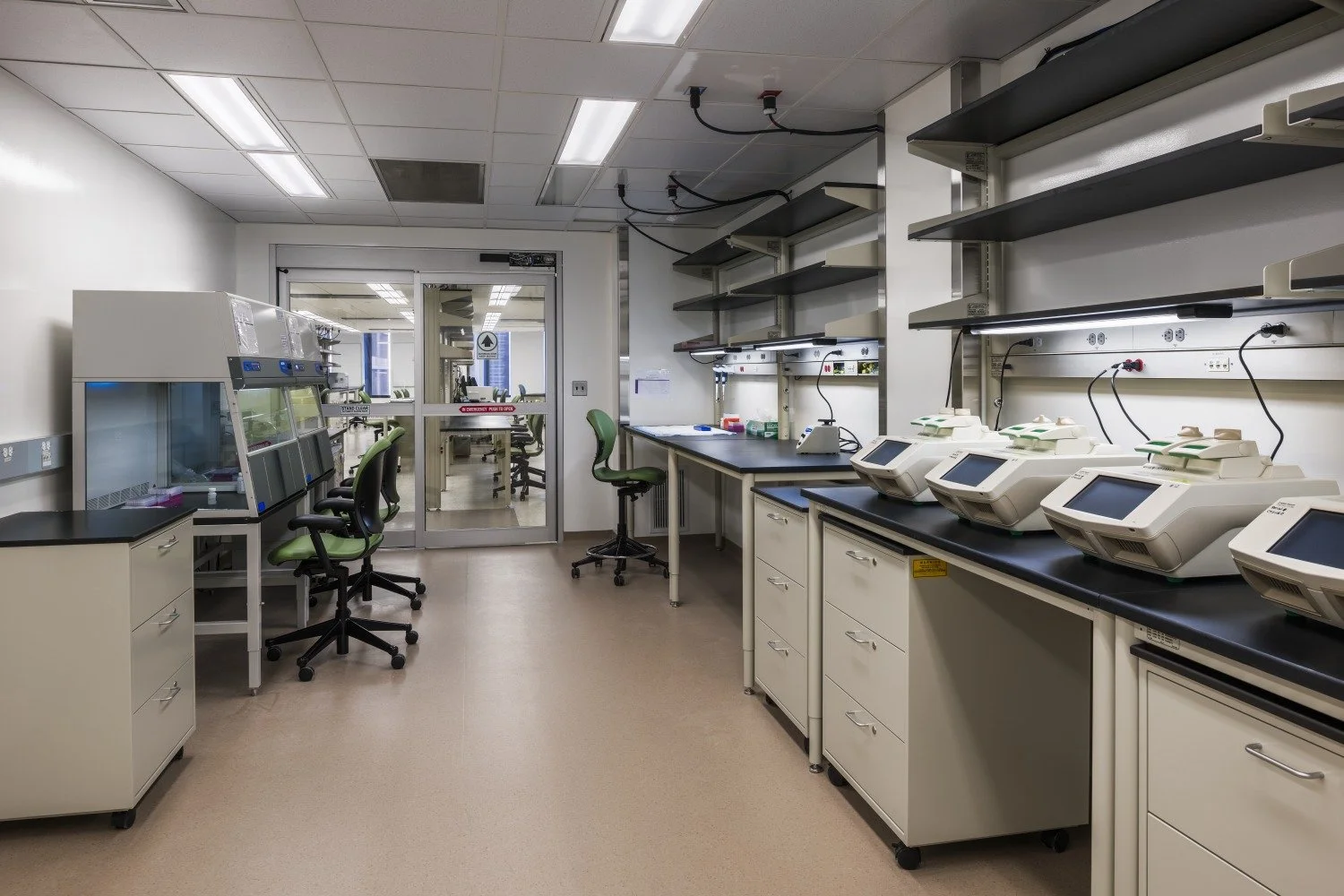 Labs4.jpg