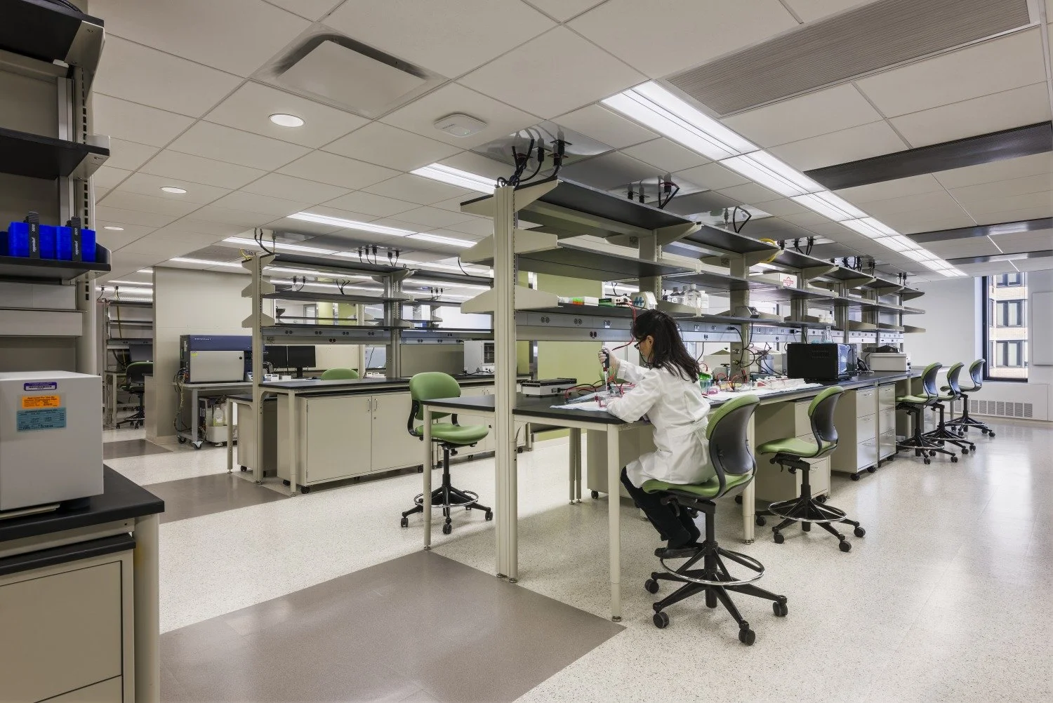 Labs1.jpg