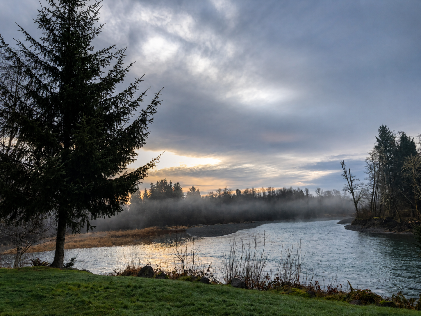 Riverside landscape at dusk with a pine tree, winding river, misty trees, and cloudy sky.