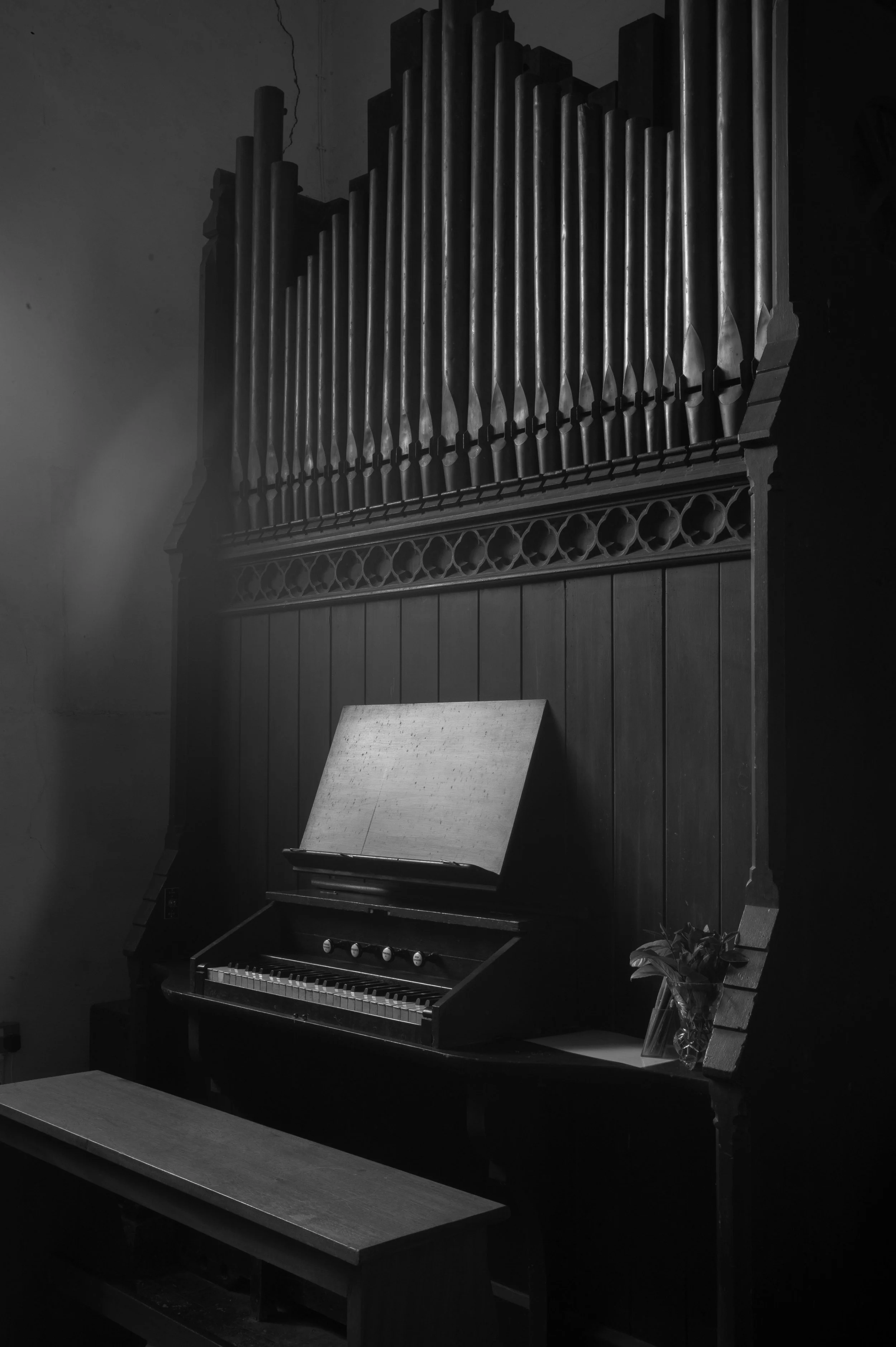 L1002262.jpg