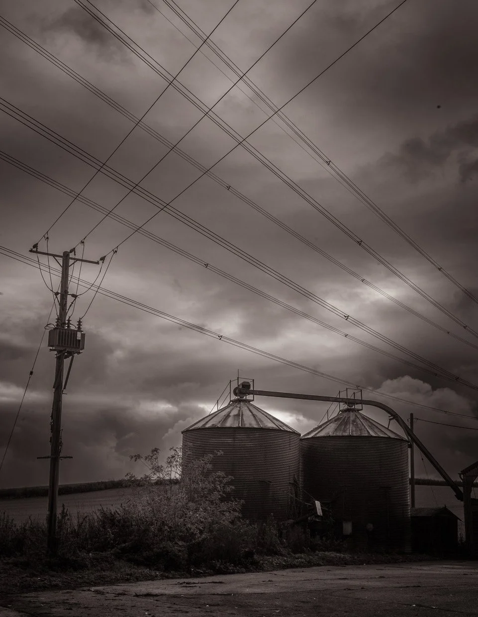 L1001518.JPG