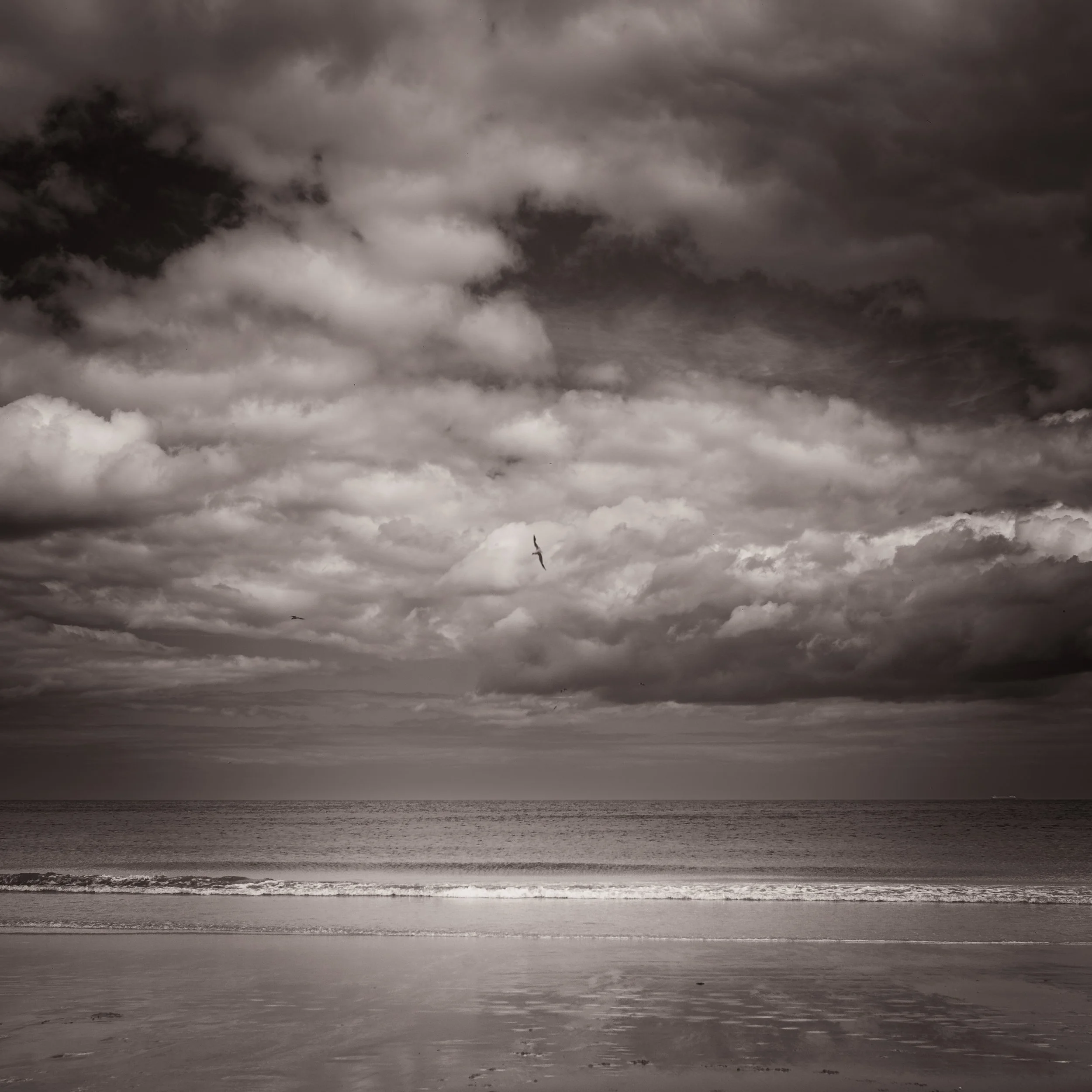 L1000675-3.jpg