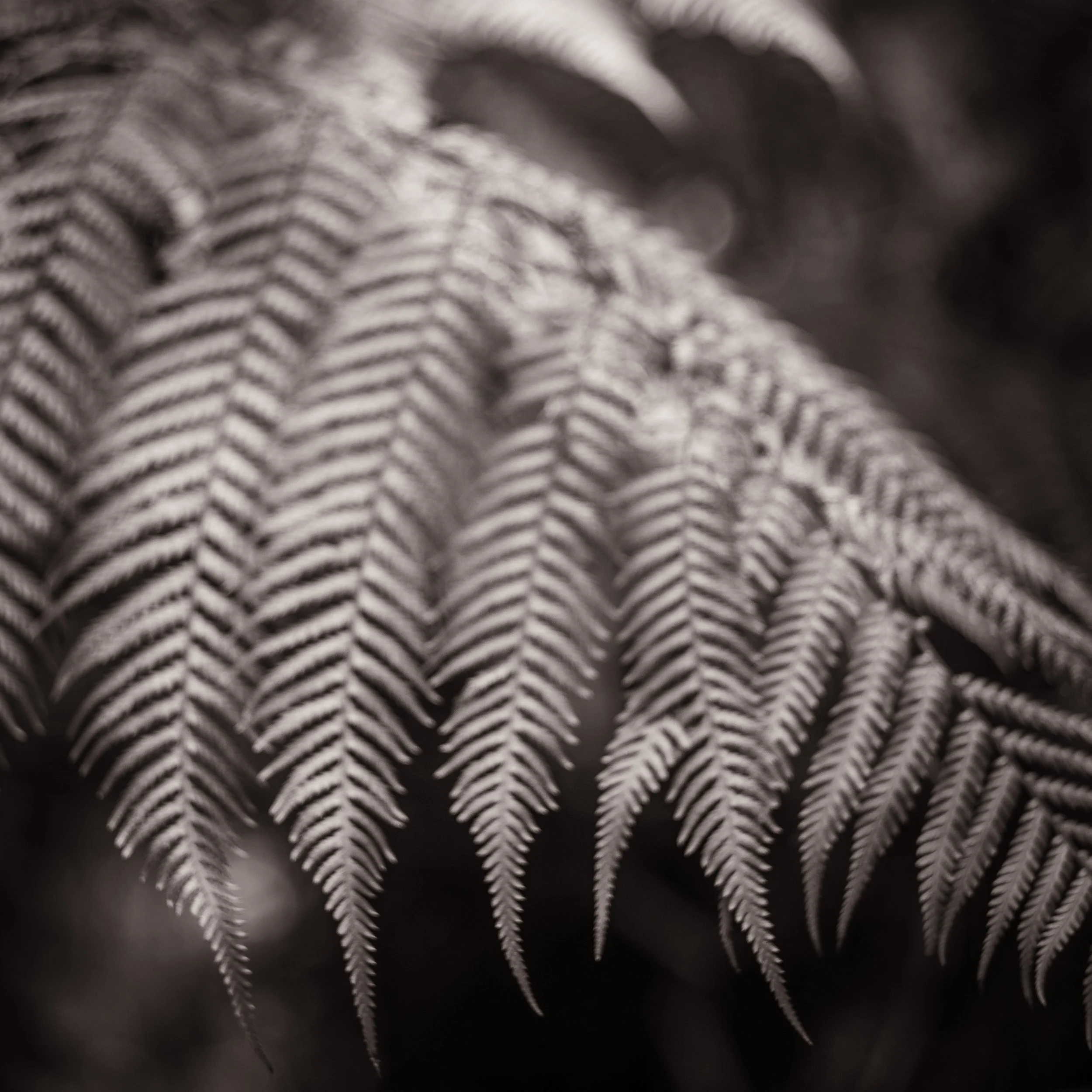 L1001901.jpg