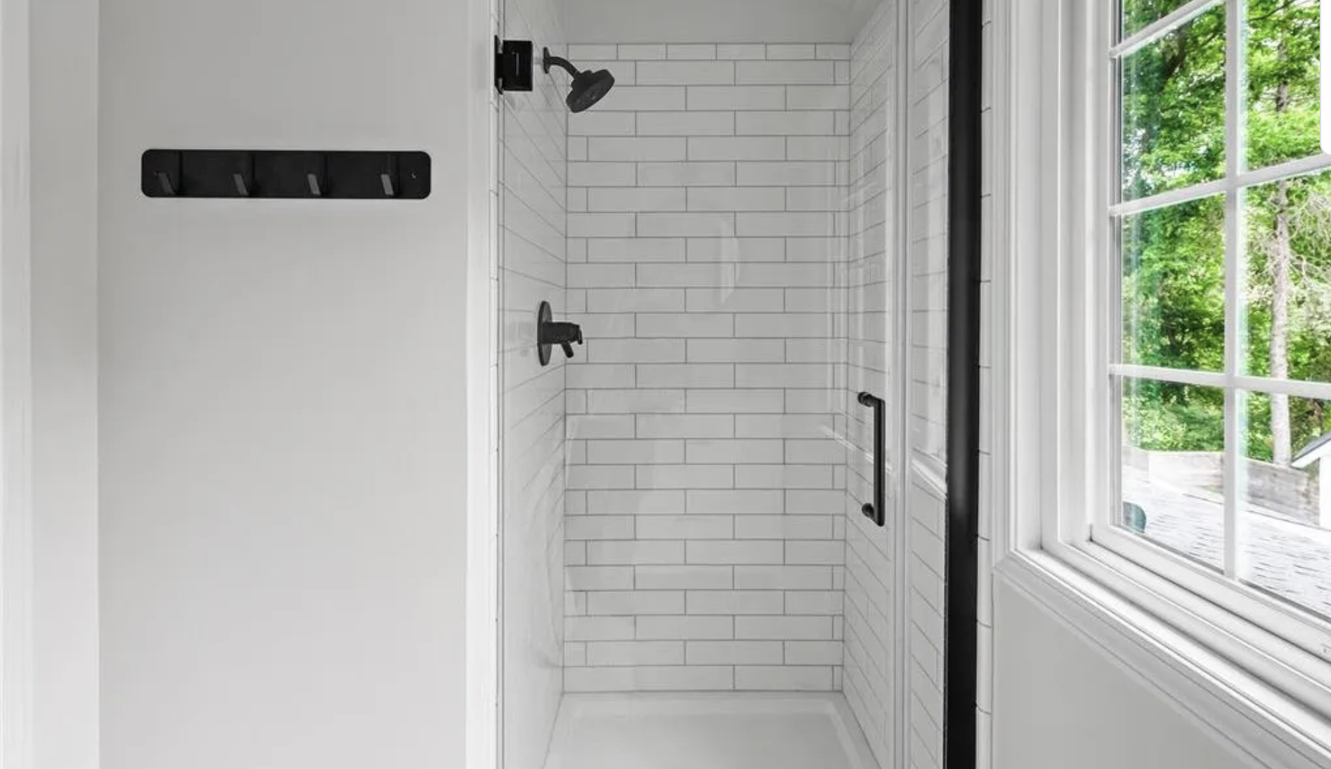 Mold often hides behind shower walls and mold dogs can detect it.