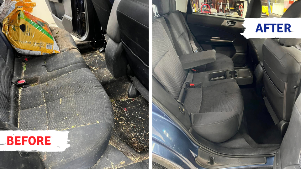 Interior Backseat