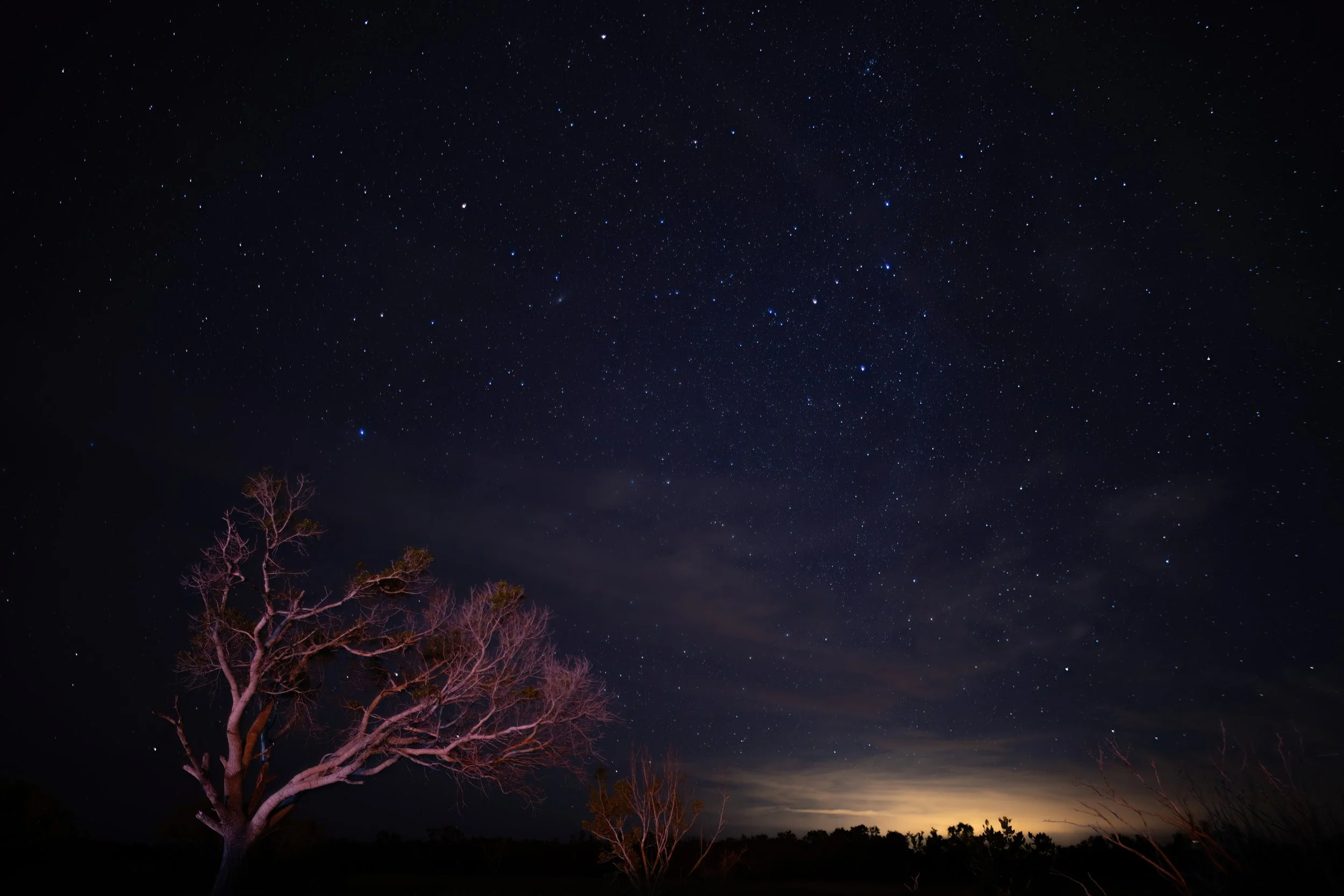 16 Westward Stars over Flamingo.jpeg