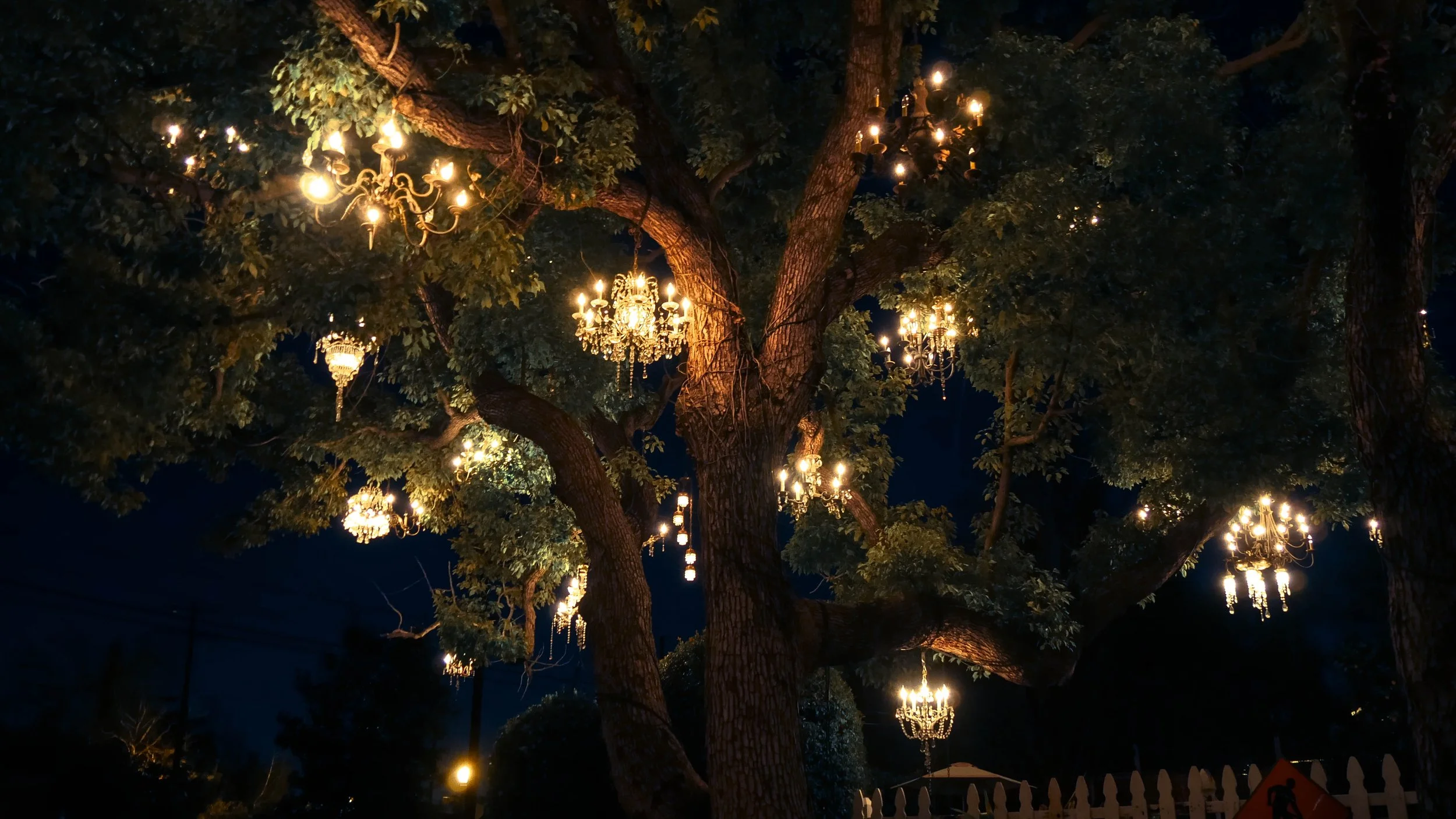 02 Chandalier Tree 2.jpg