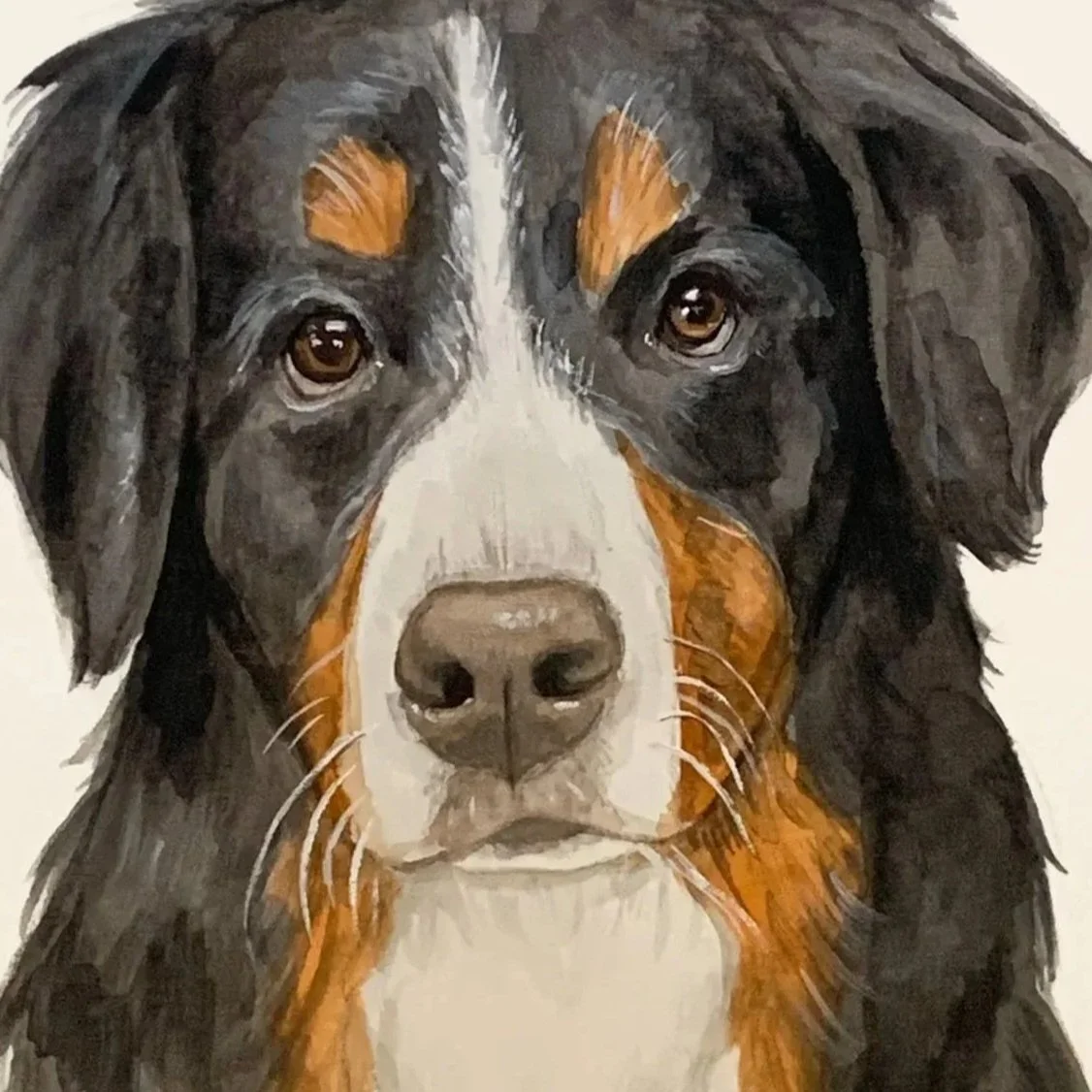 Realistic watercolor and gouache painting of a Bernese Mountain Dog with detailed black, white, and brown fur, expressive brown eyes, and a white stripe on its face.