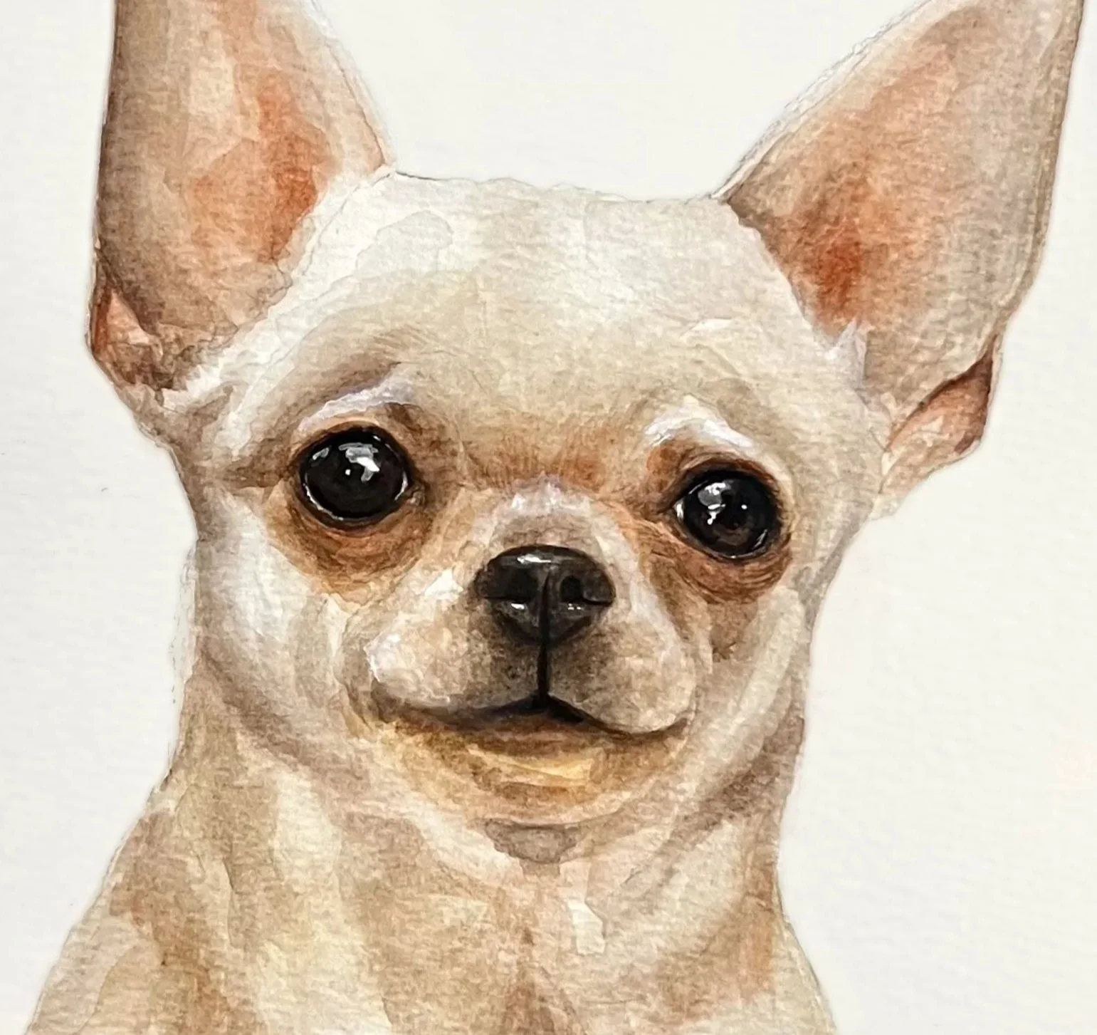 A close-up watercolor painting of a small Chihuahua dog with large ears, dark eyes, and a light tan coat with darker accents around the eyes and nose.