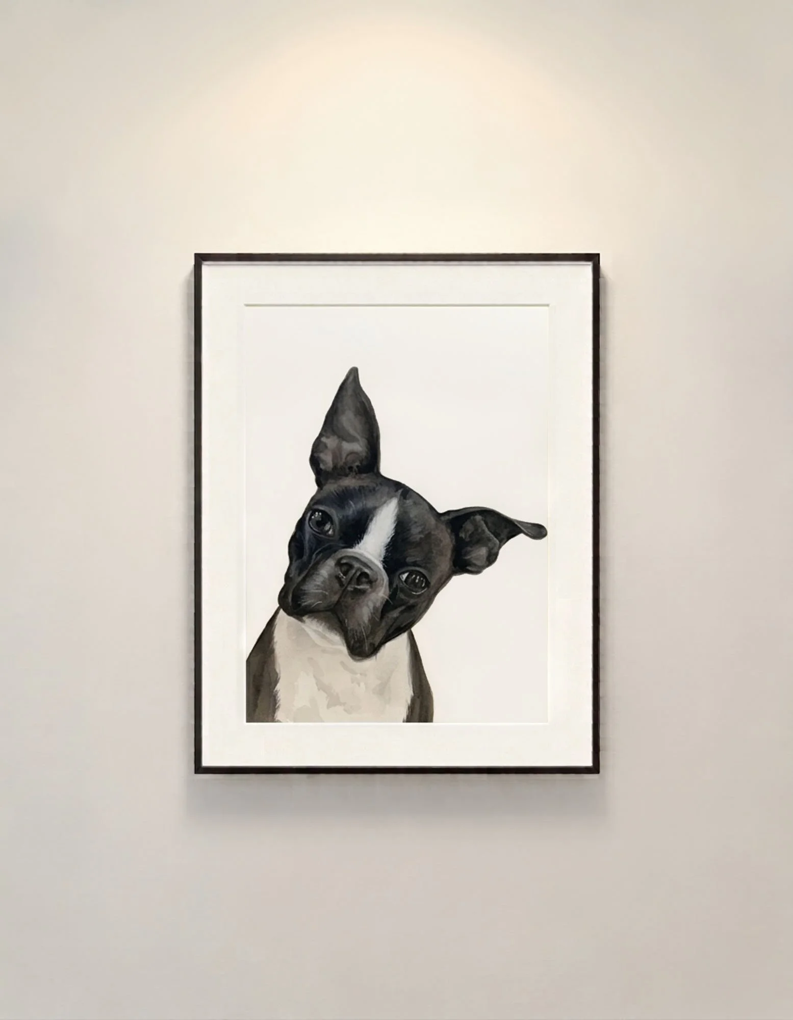 Framed watercolor and gouache painting of a black and white Boston Terrier, with its head tilted slightly to the side, wearing a mischievous expression, framed and hanging on a white gallery wall.
