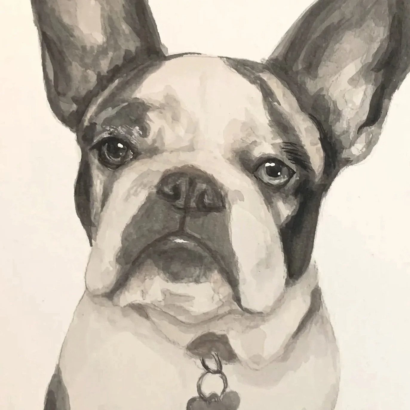 A black and white watercolor painting of a grey and white French Bulldog with large ears and expressive eyes, wearing a collar with a heart-shaped tag.