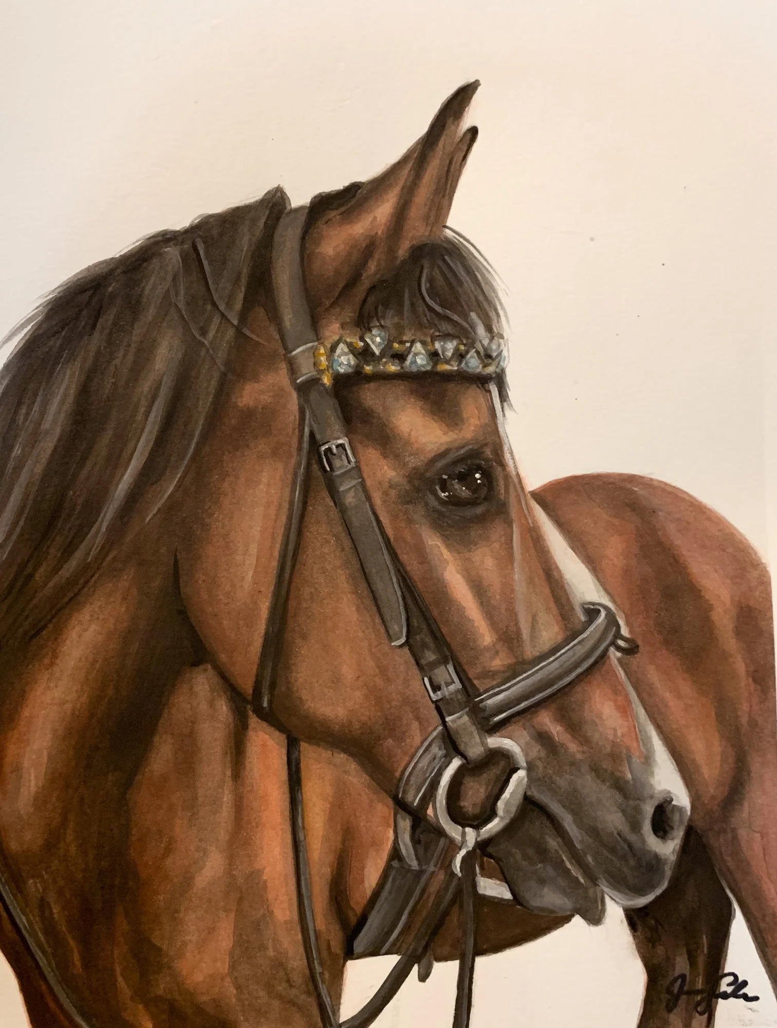 A detailed painting of a brown horse with a dark mane, wearing a bridle with decorative jewels, set against a plain white background.