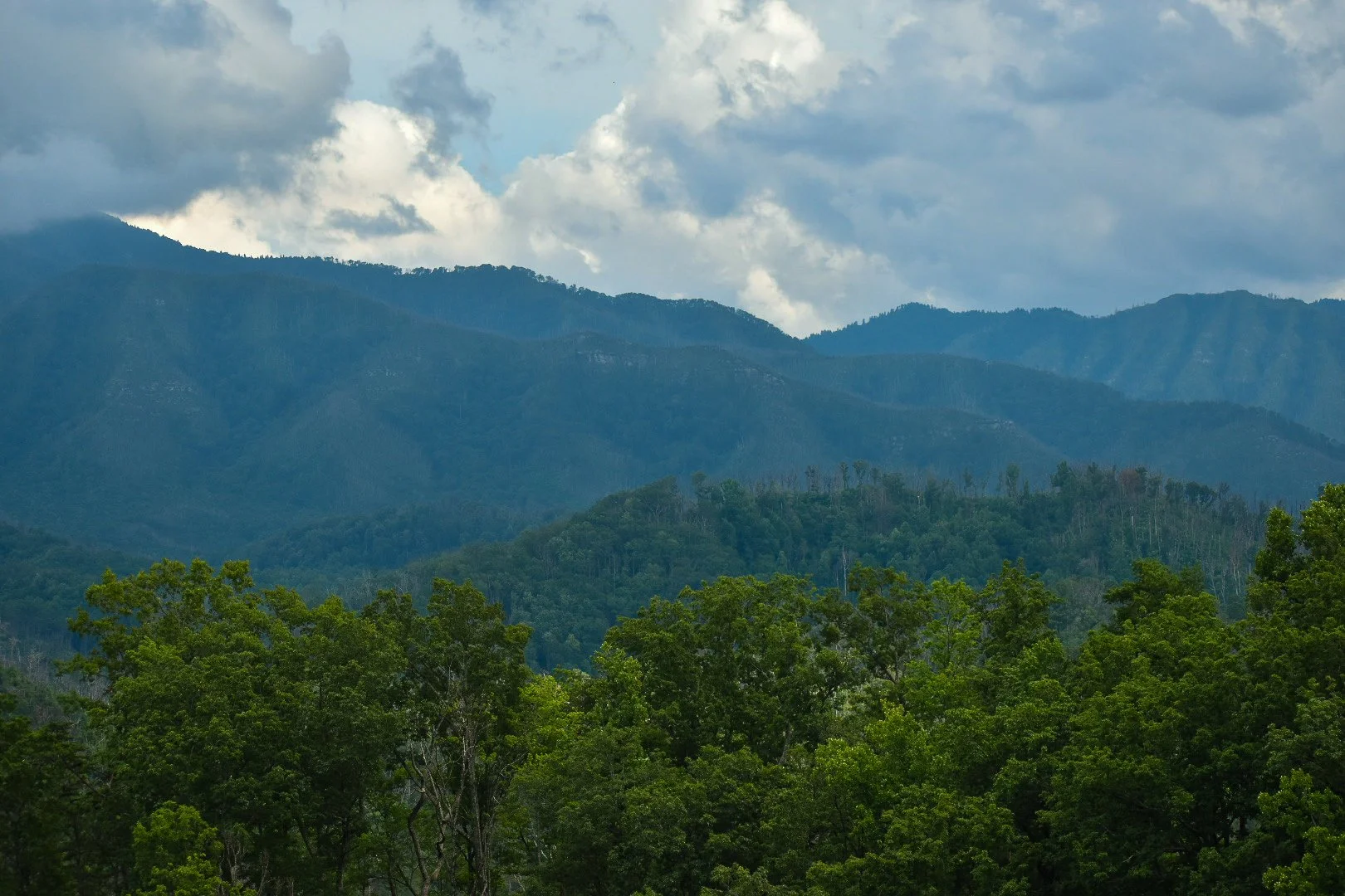 DSC_1787.jpg