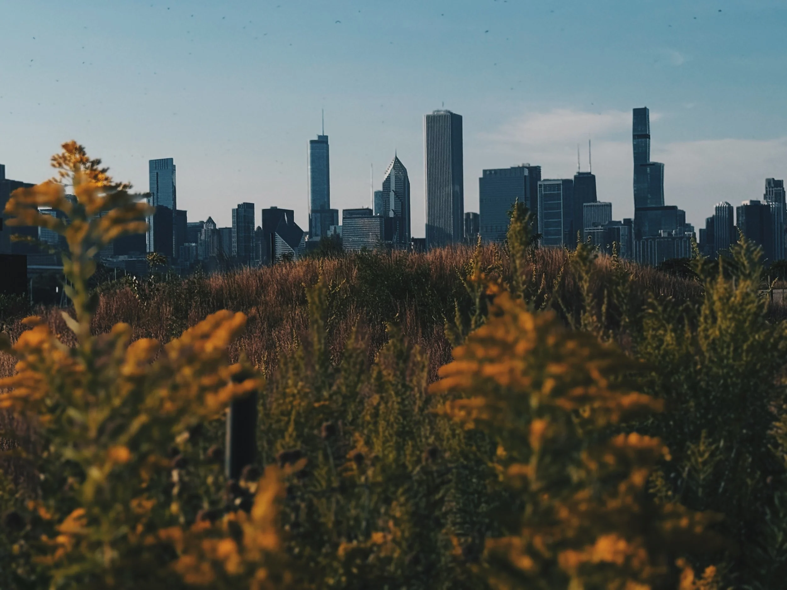 FullSizeRender_VSCO.JPG