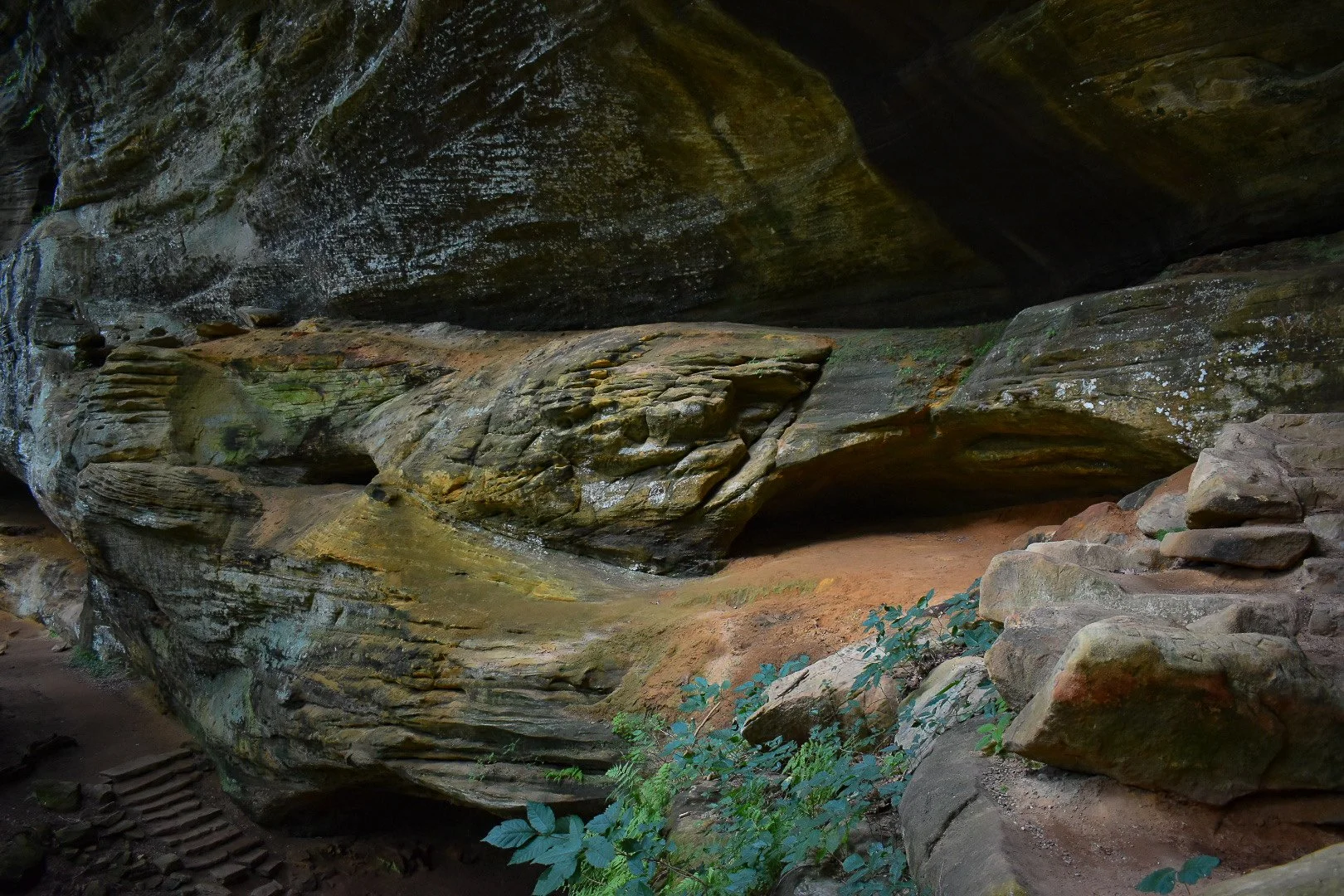 DSC_1675.jpg