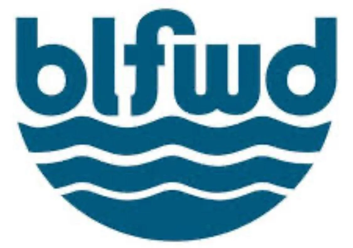Blue logo with the word 'bflu' and wavy lines underneath.