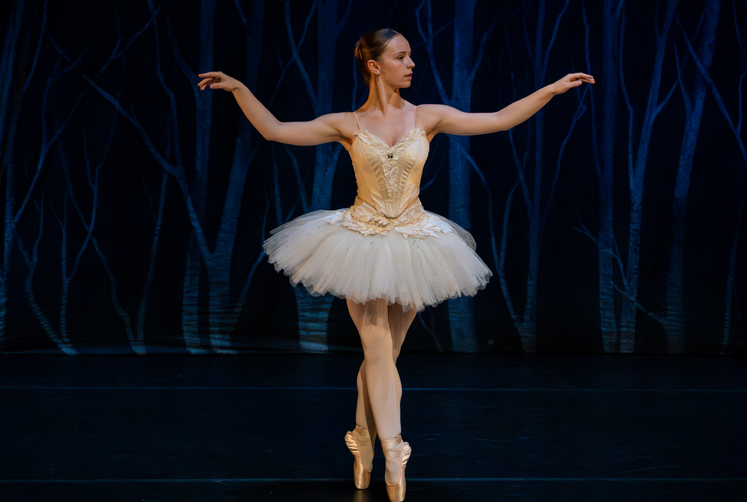 Swan Lake Sadlers Wells SS.png
