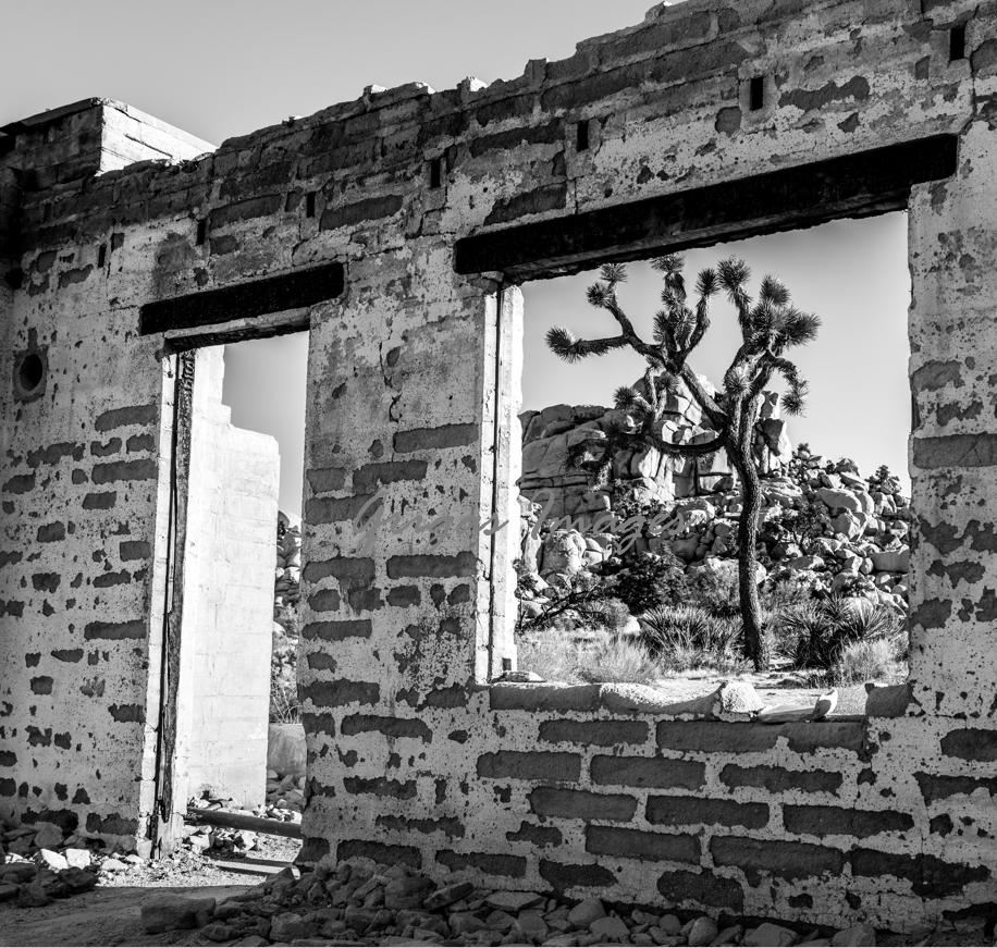 JT Ranch House #1