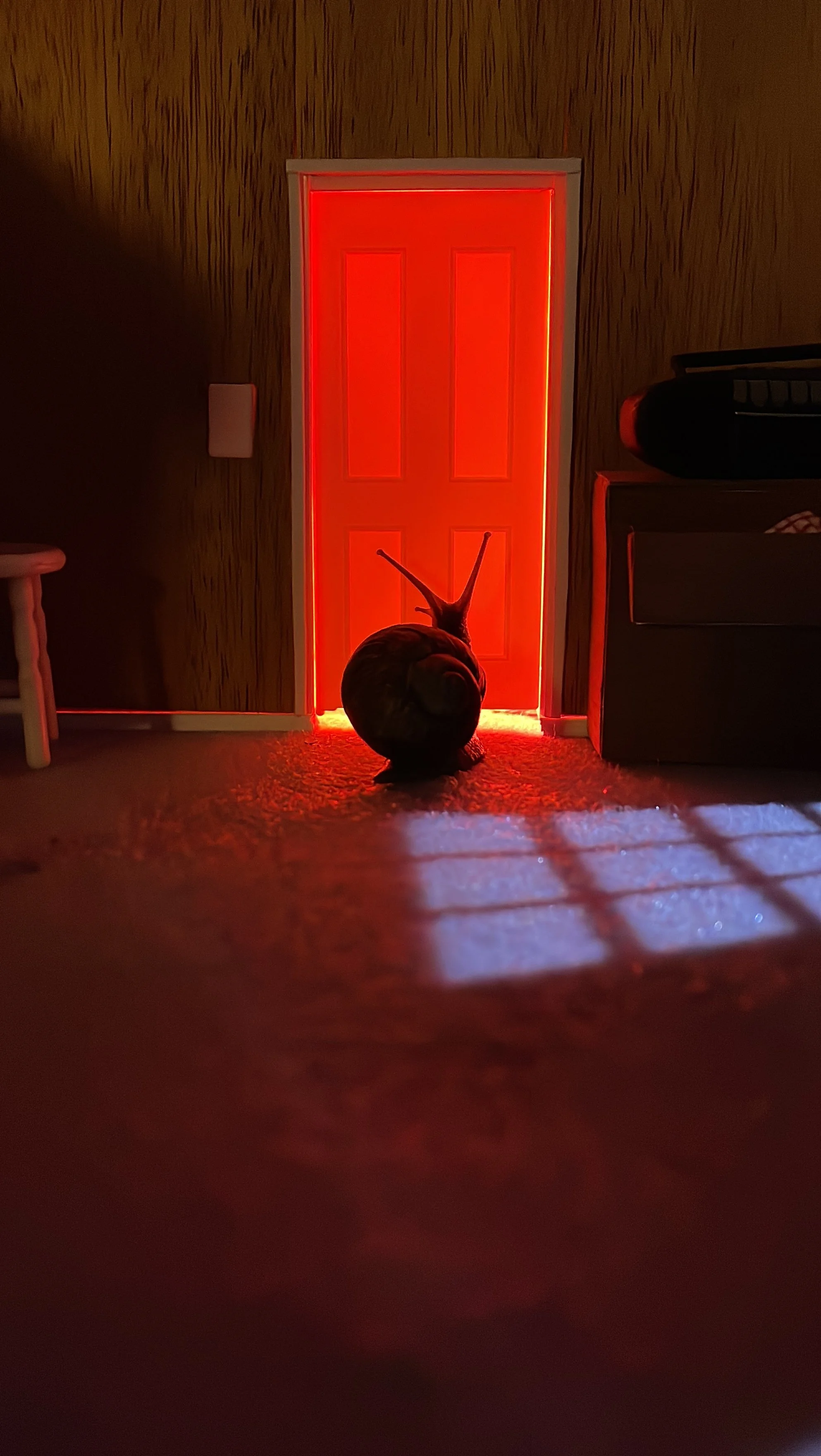 A snail with its eyes extended is sitting in front of a closed door illuminated with red light, inside a dimly lit room.