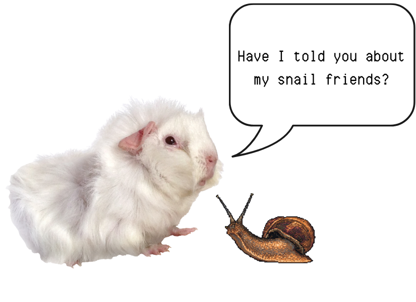 A guinea pig and a snail are depicted with the guinea pig talking, saying "Have I told you about my snail friends?"