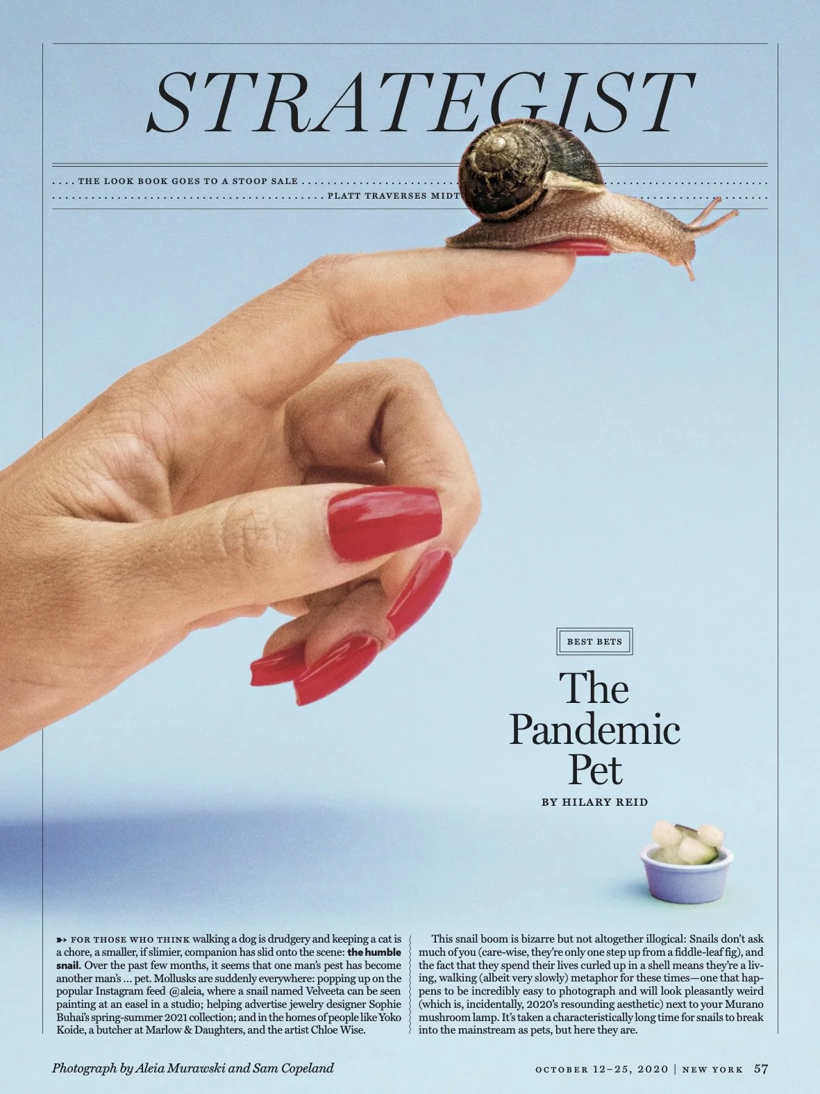 A fingernail with red polish holding a snail on the index finger, with a blue background and text overlay about the pet snail.