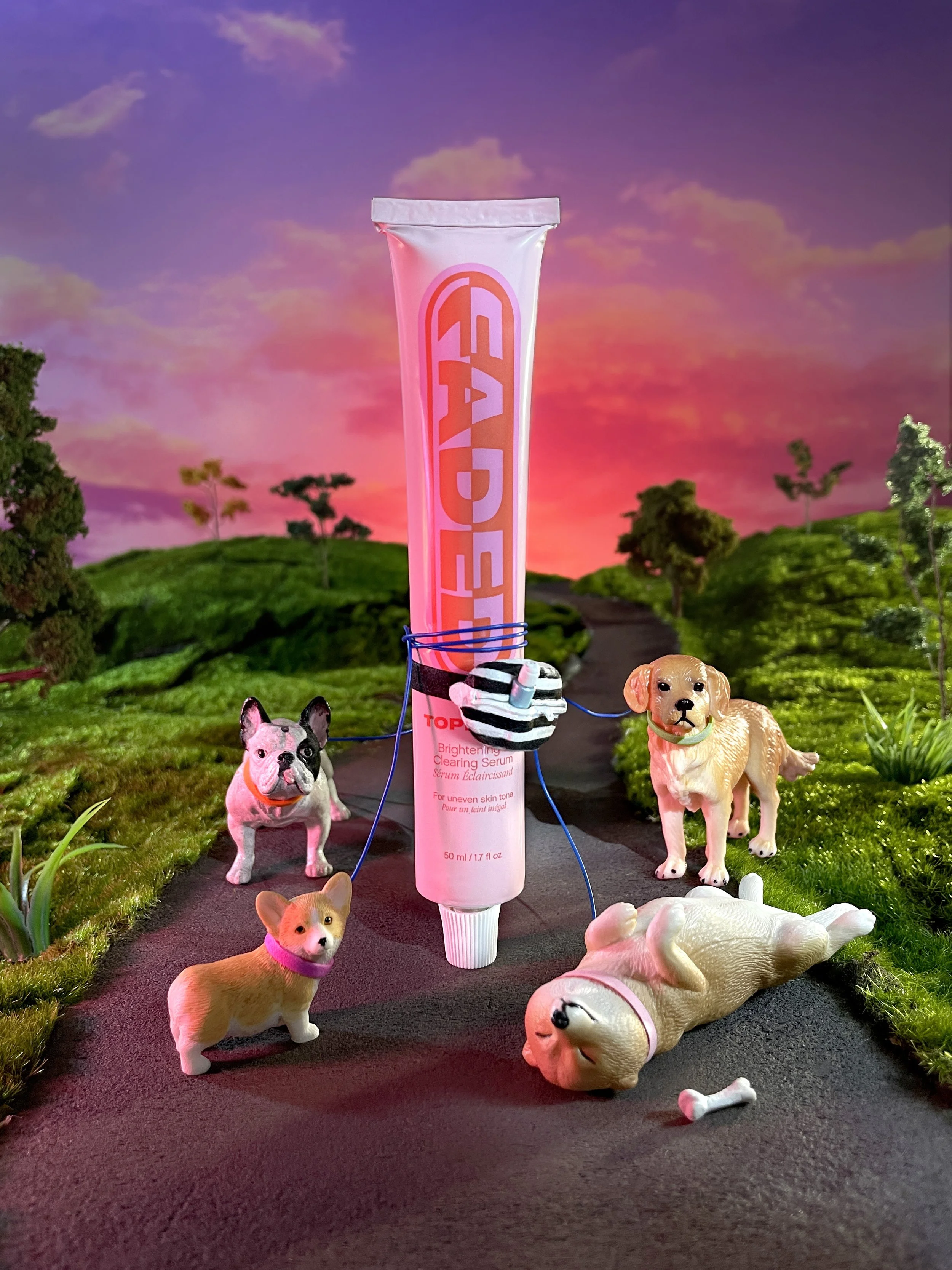 sephora_dog_walk_001.jpg