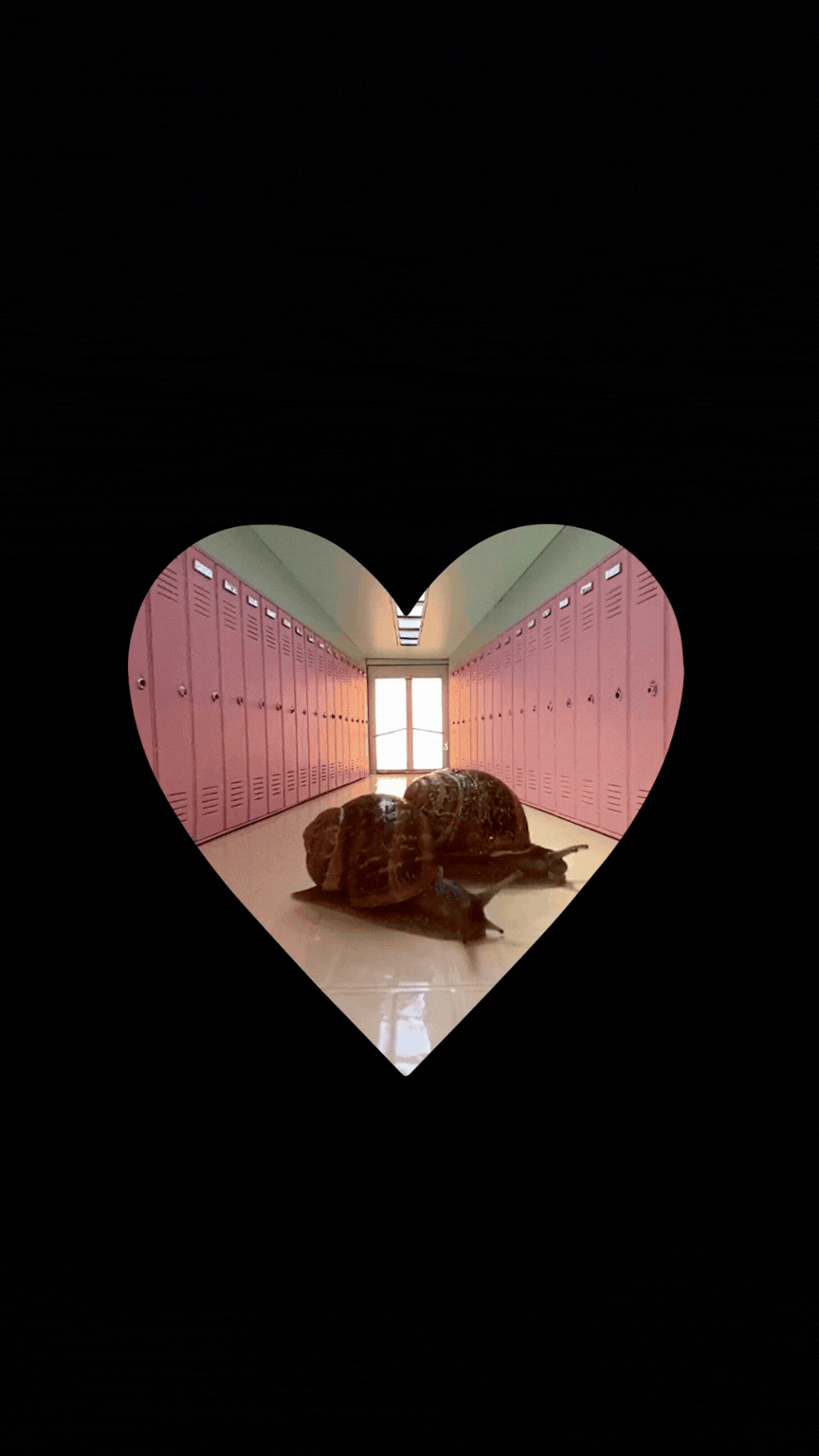 Two snails in a school hallway with pink lockers, viewed through a heart-shaped vignette.