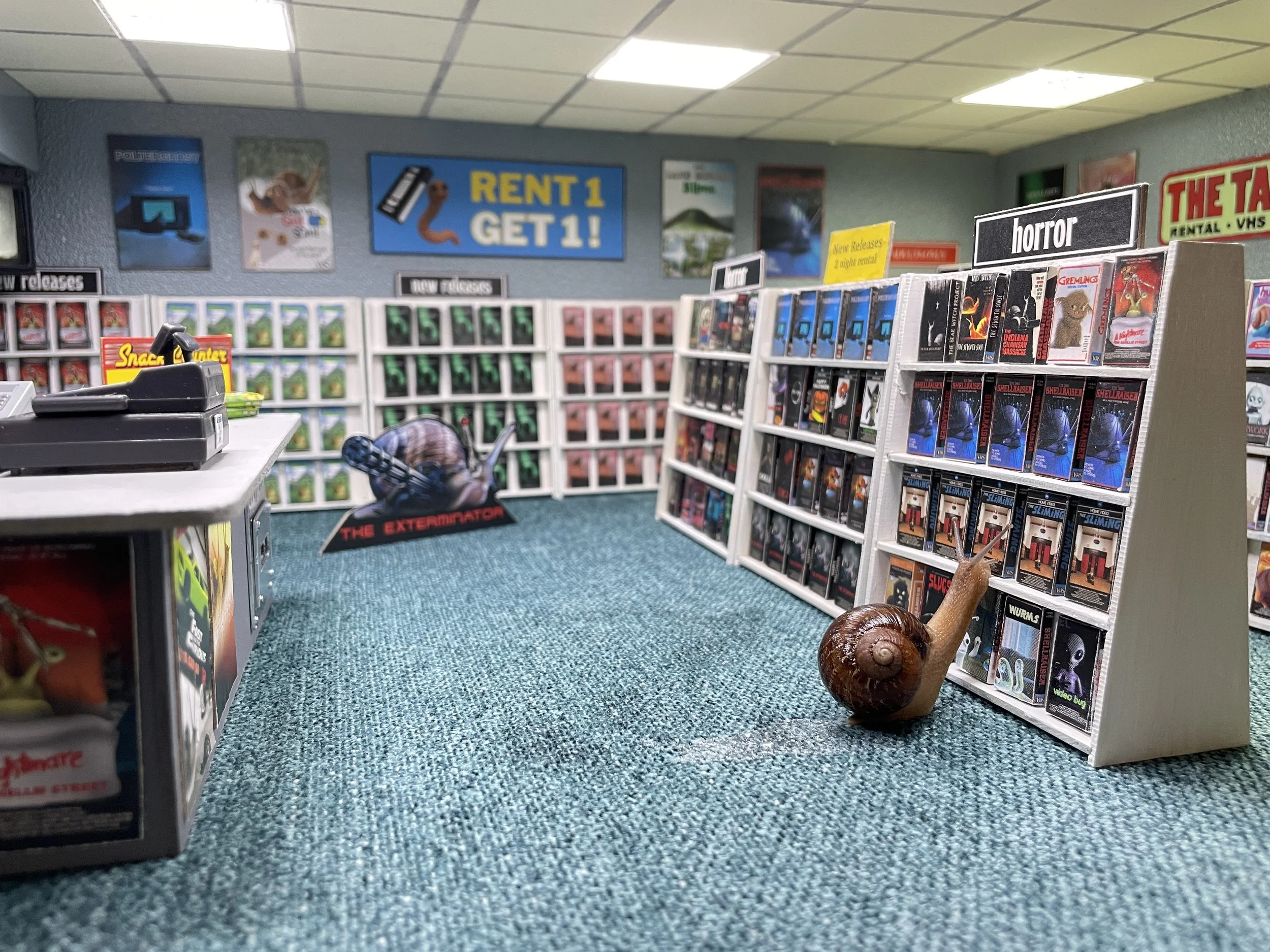 View of a corner in a video store with shelves filled with DVDs, promotional posters on the wall, and a carpeted floor. A small snail is seen in the store.