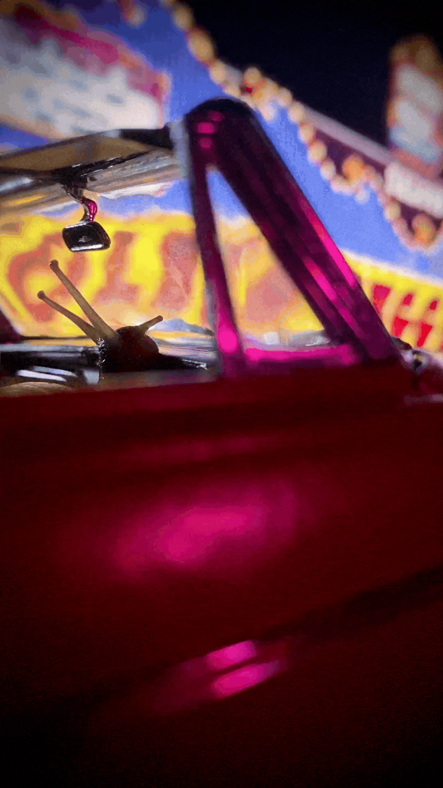 A snail cruising down Las Vegas in a convertible, colorful neon-lit background reflected on the front window.