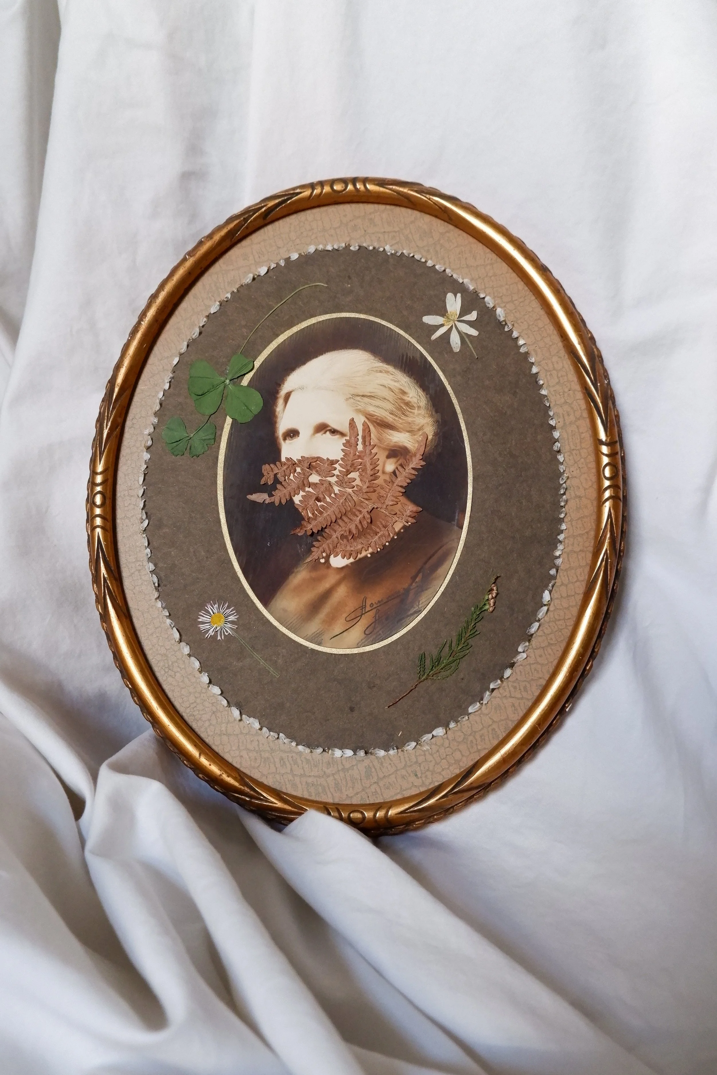 DSCF2140.jpg