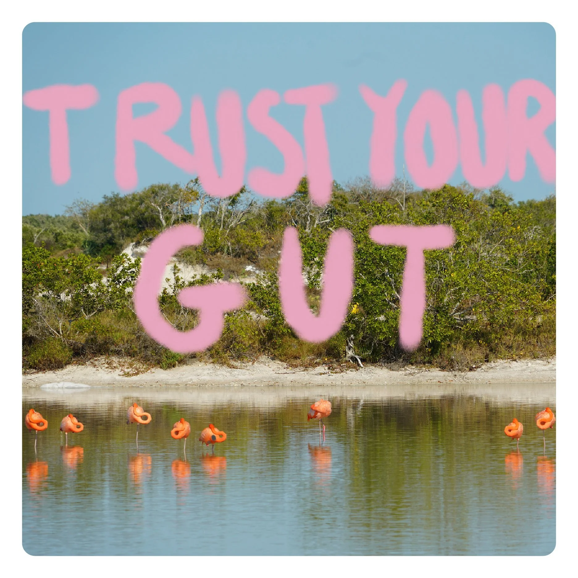 Trust your gut