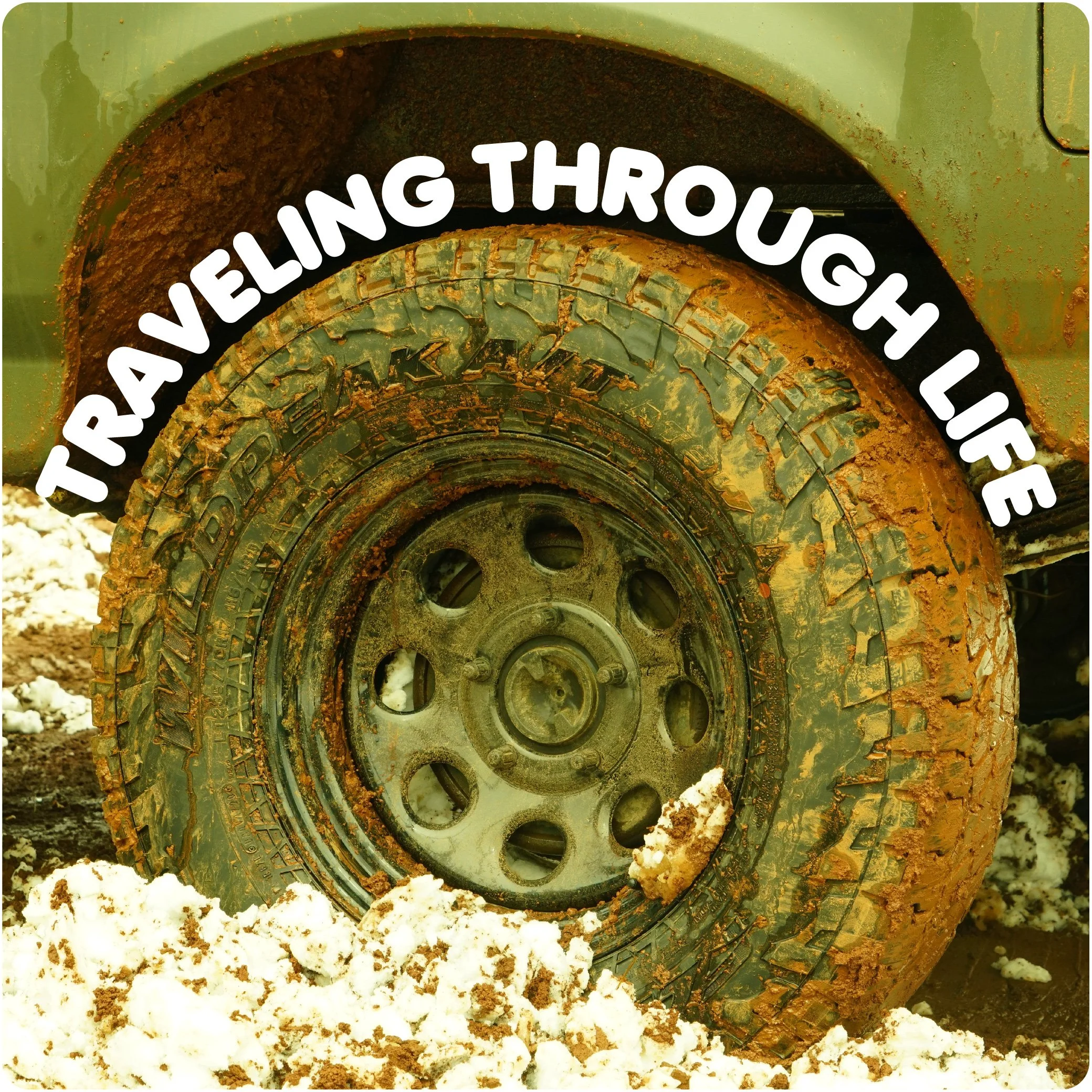 Traveling Through Life