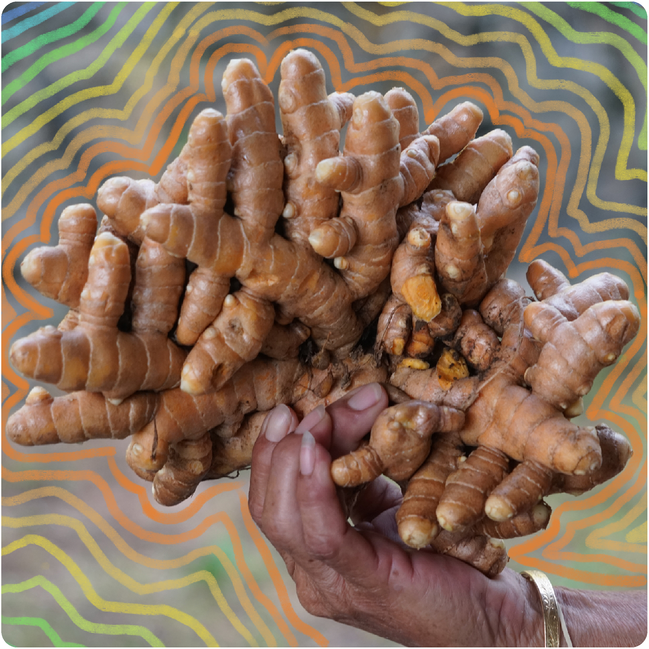 Cleanse With Discipline