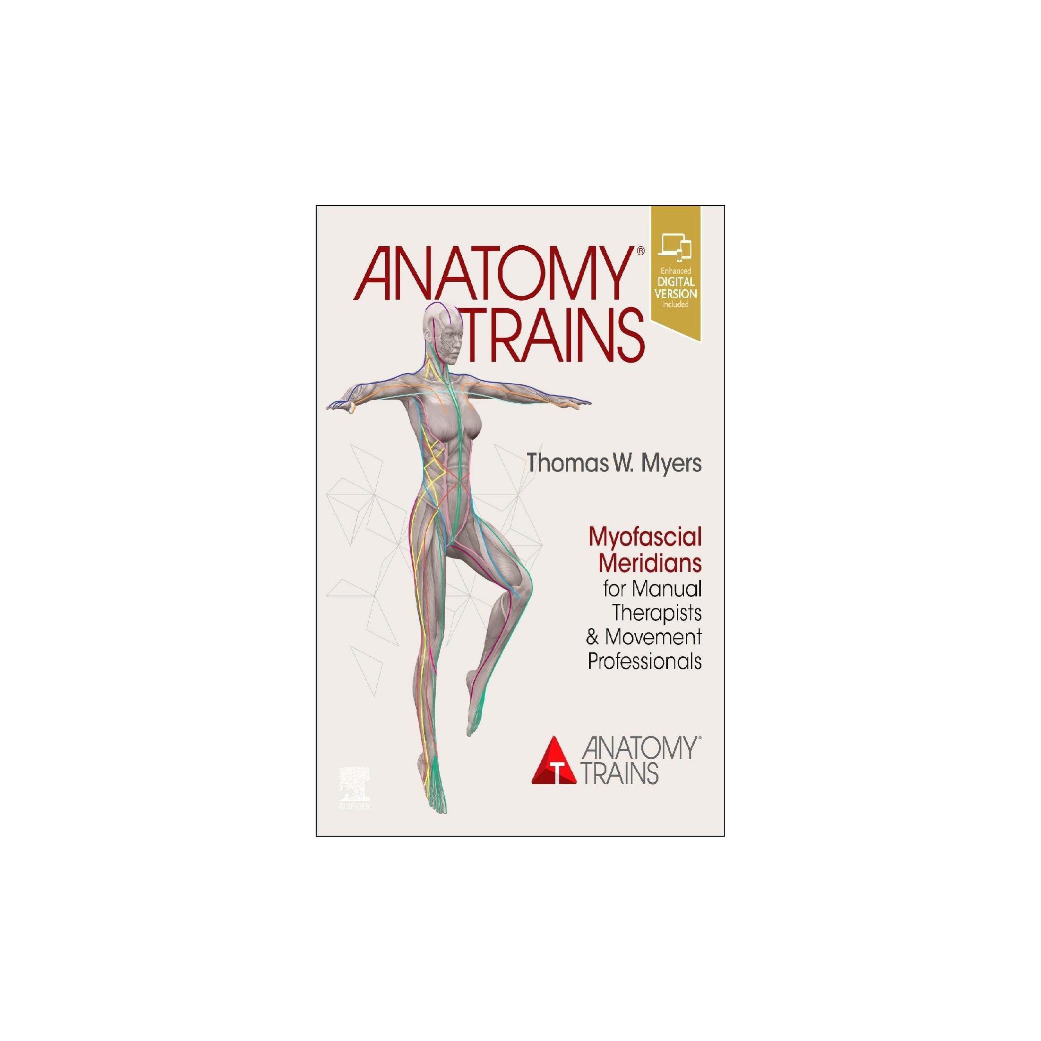 Anatomy Trains