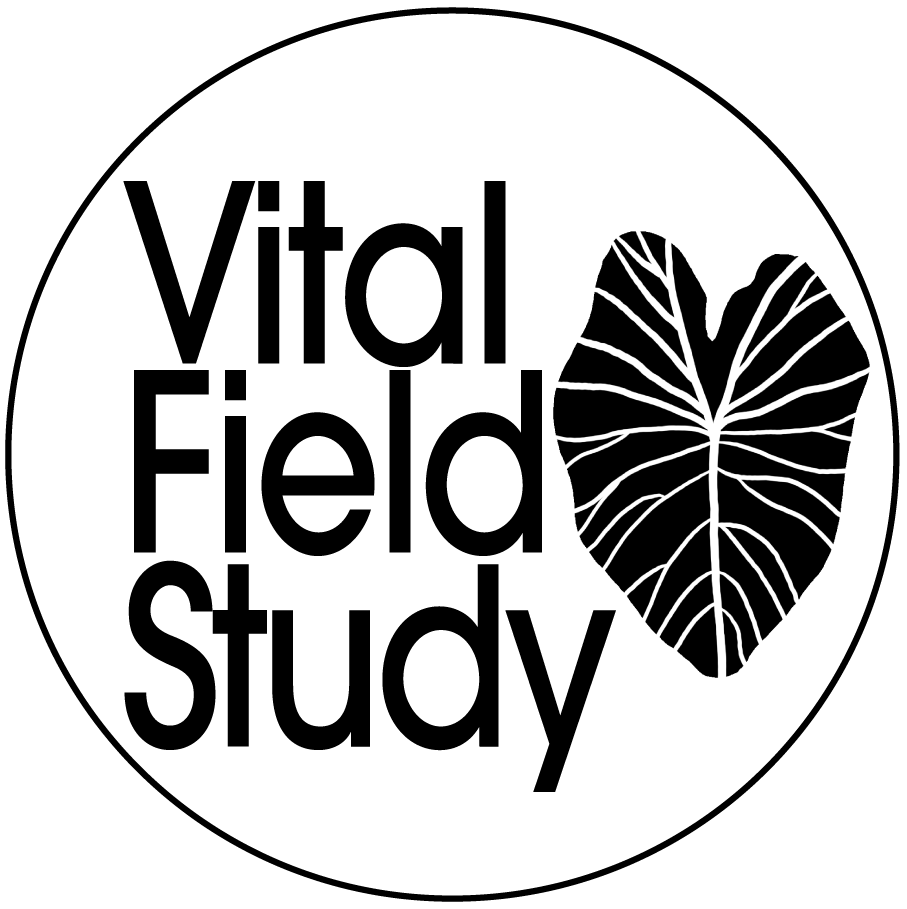 An illustration of a black cat with orange eyes sitting upright on a white background.