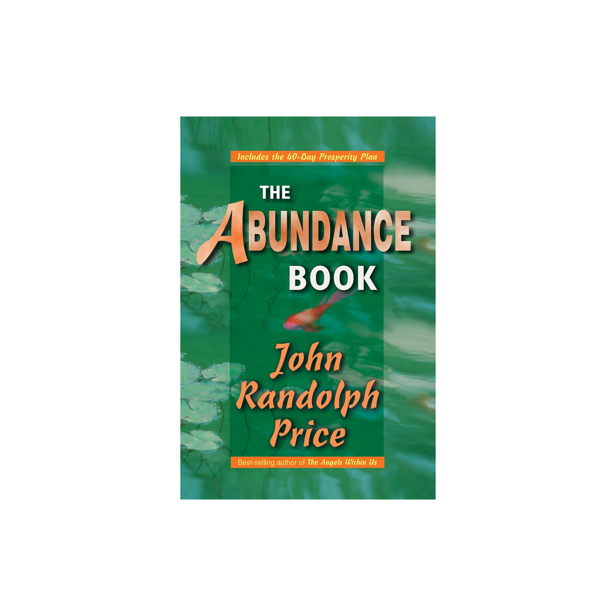 The Abundance Book