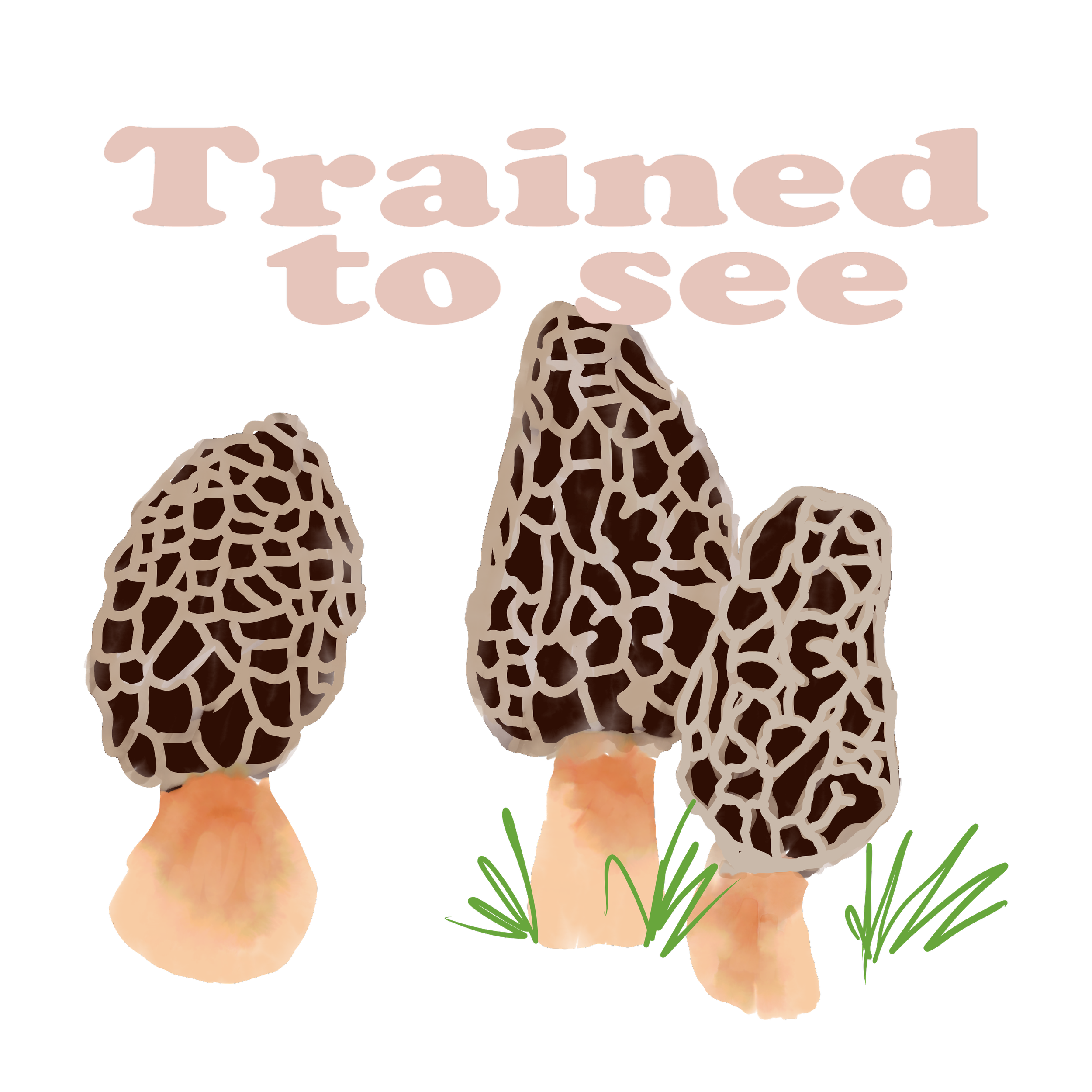 Trained to see