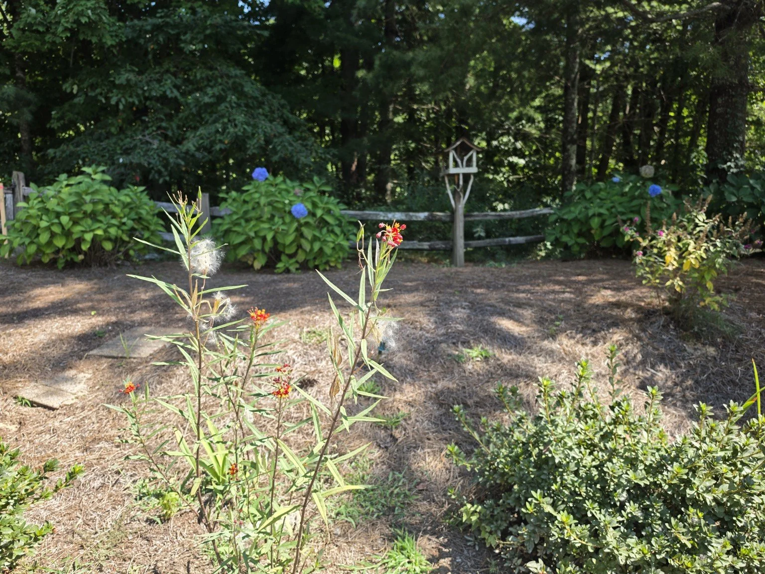 The Work of the Waning Season
