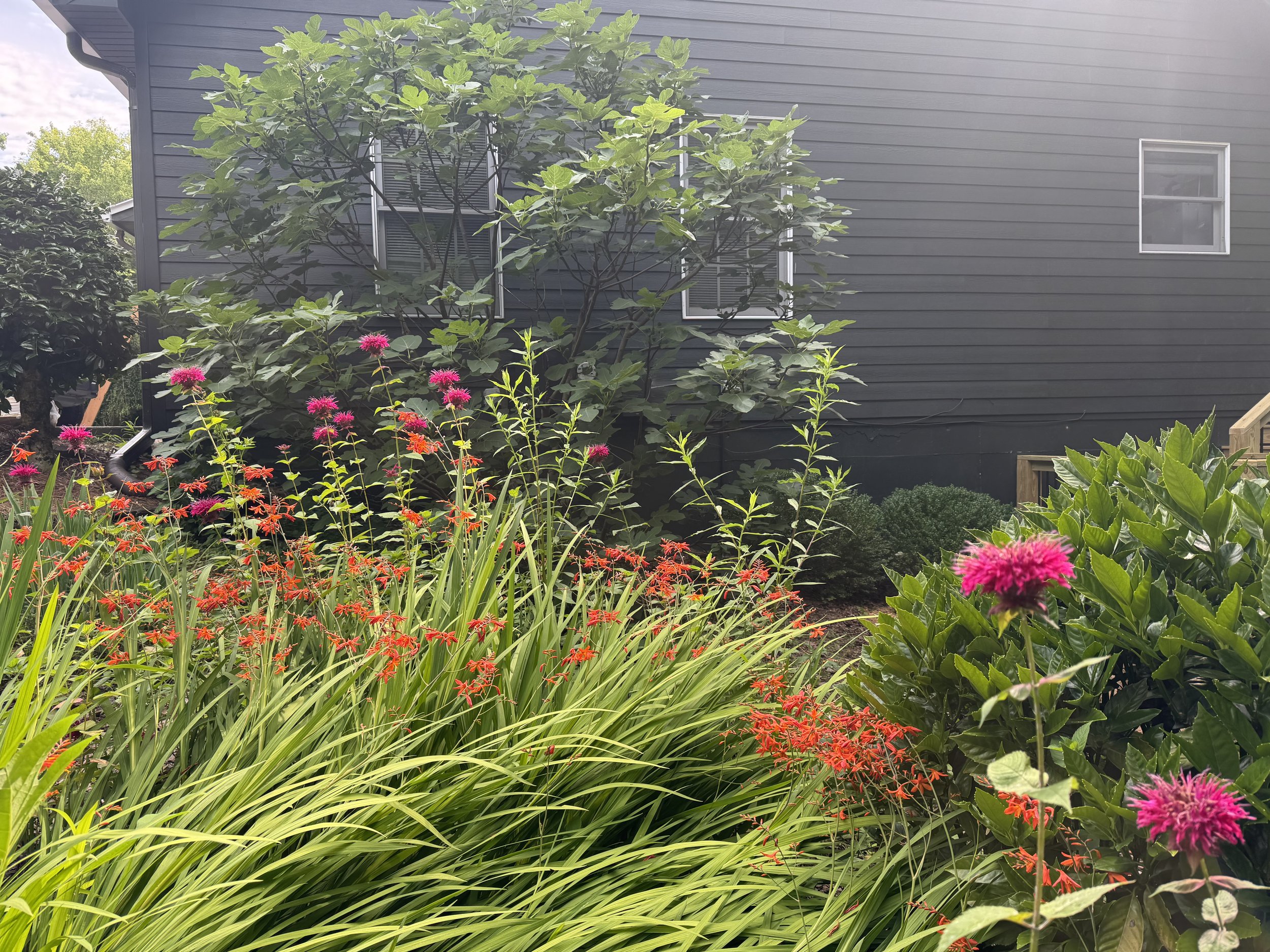Summer gardens at Shimmering Ridge Sanctuary featuring vibrant bee balm, crocosmia, and lush perennial plantings beside the sanctuary home in the Appalachian Mountains of North Georgia.
