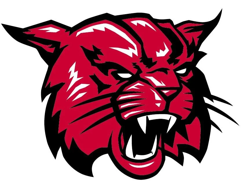 KC Wildcats Basketball