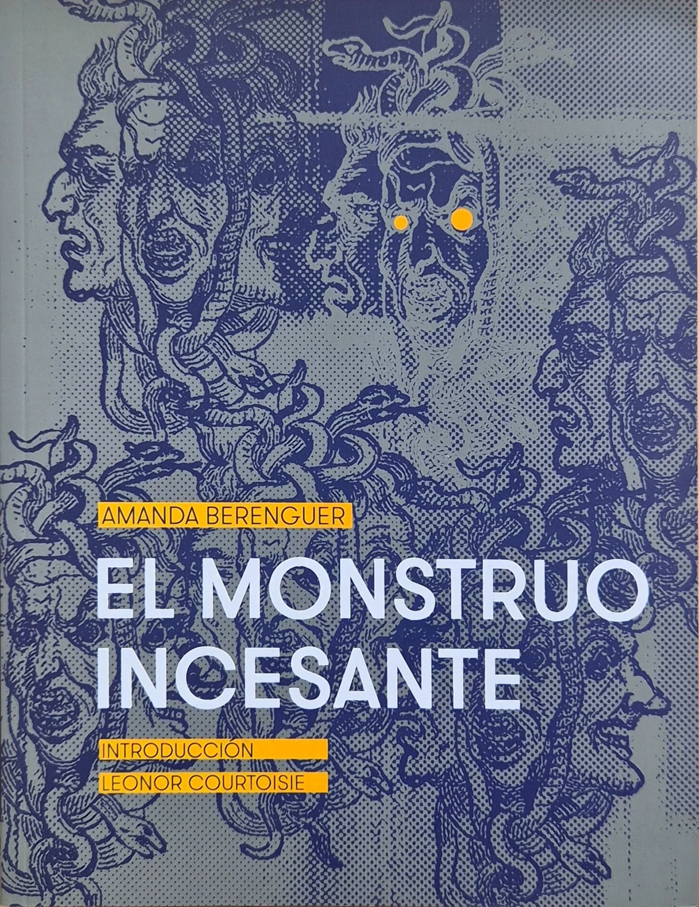 El monstruo incesante | Amanda Berenguer