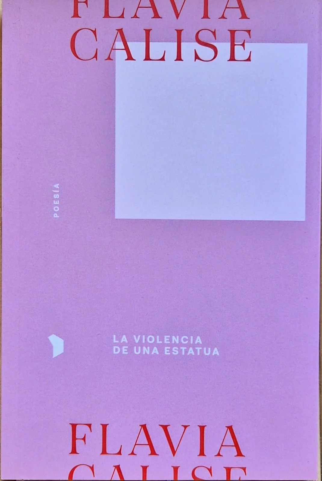 La violencia de una estatua | Flavia Calise