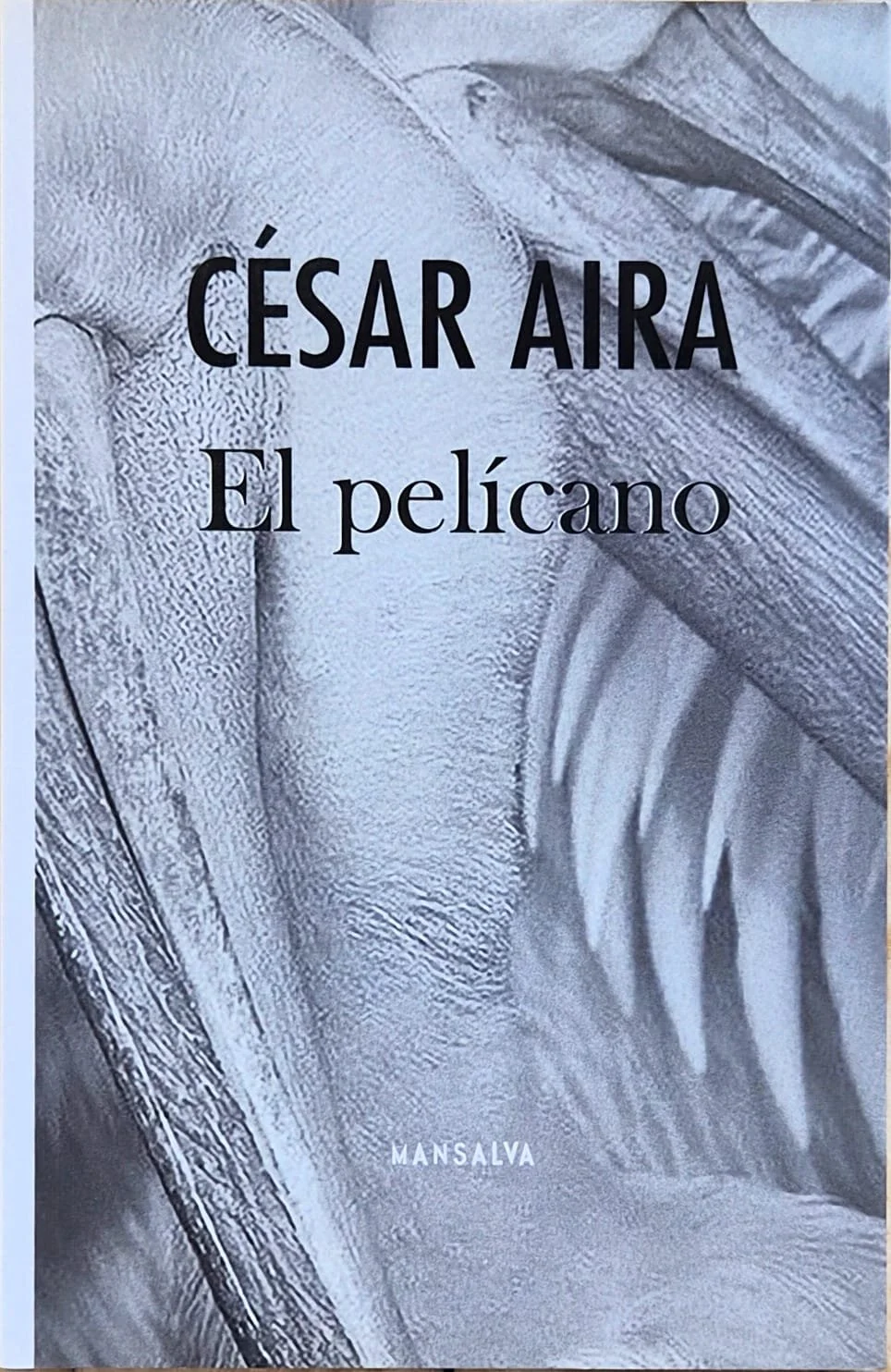 Copia de WhatsApp Image 2026-06-01 at 10.45.02.jpeg