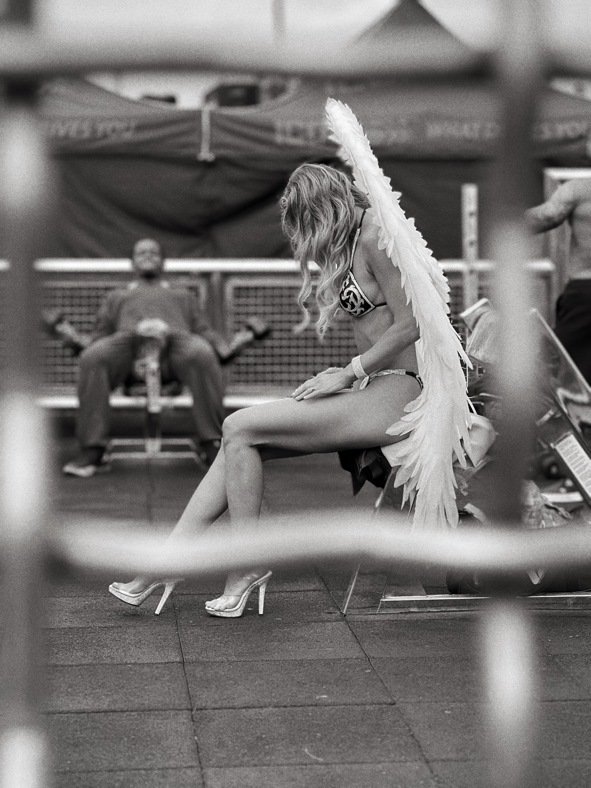 MUSCLE BEACH - CONTEST