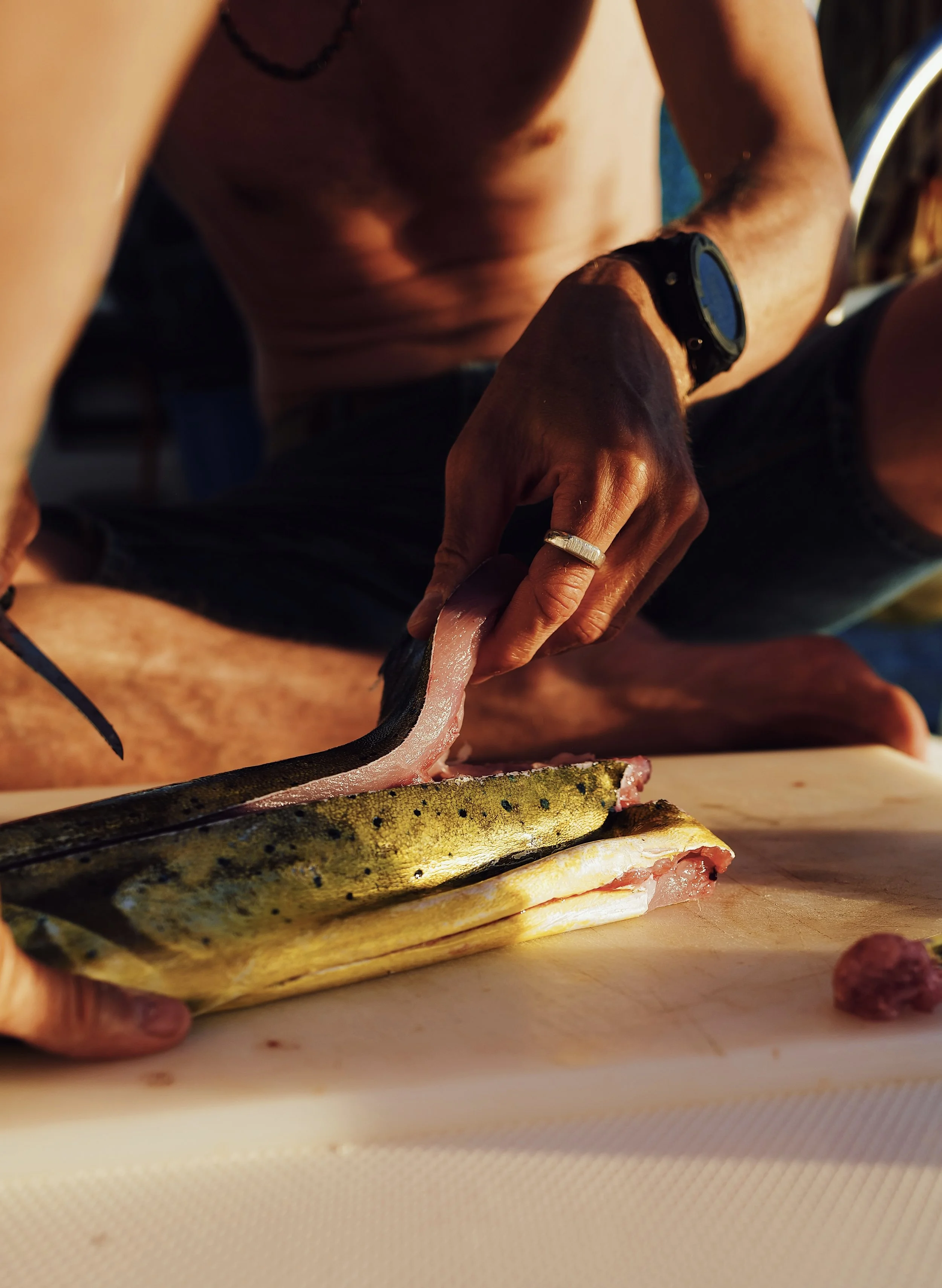 MAHI_MAHI_11.jpg