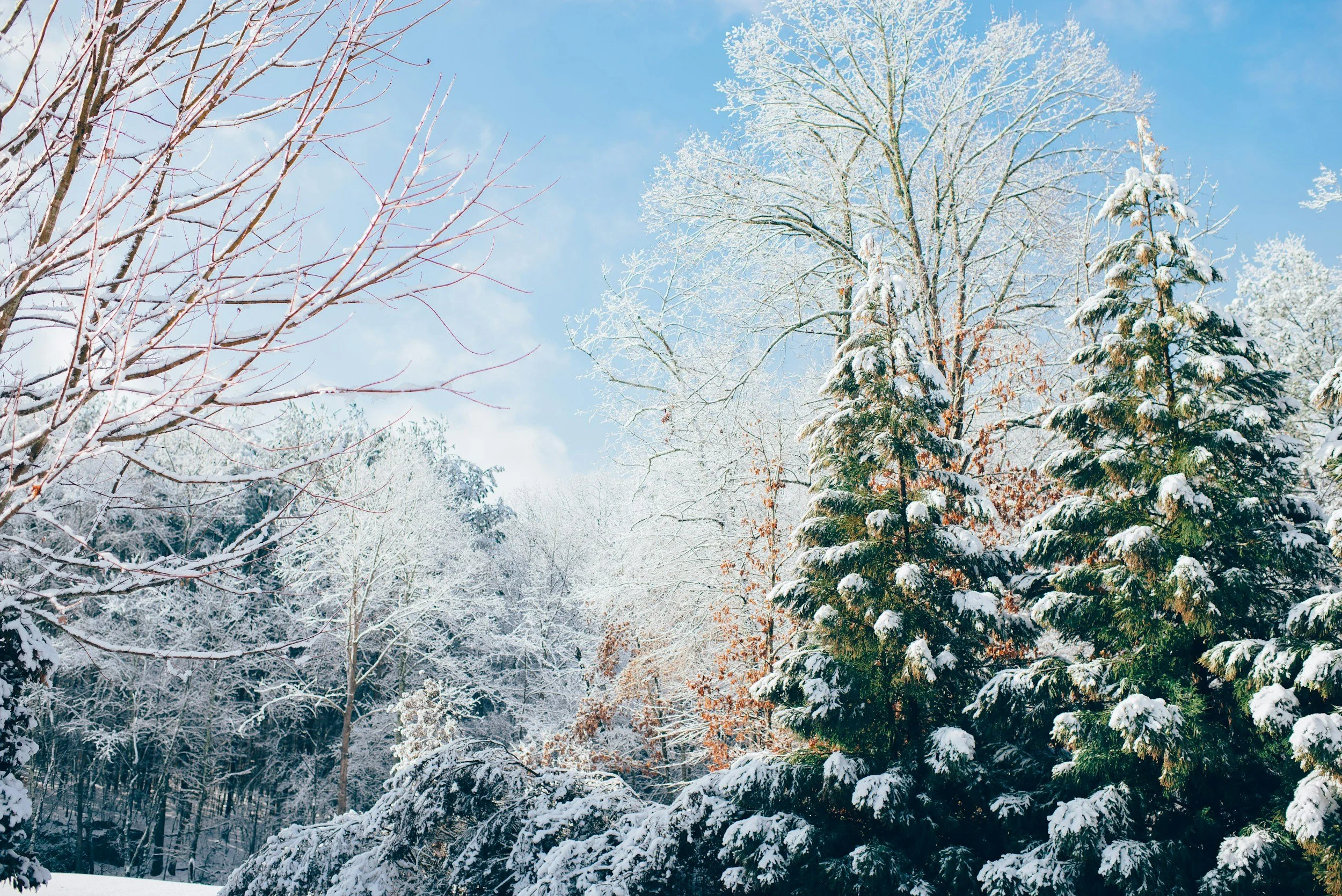December Break