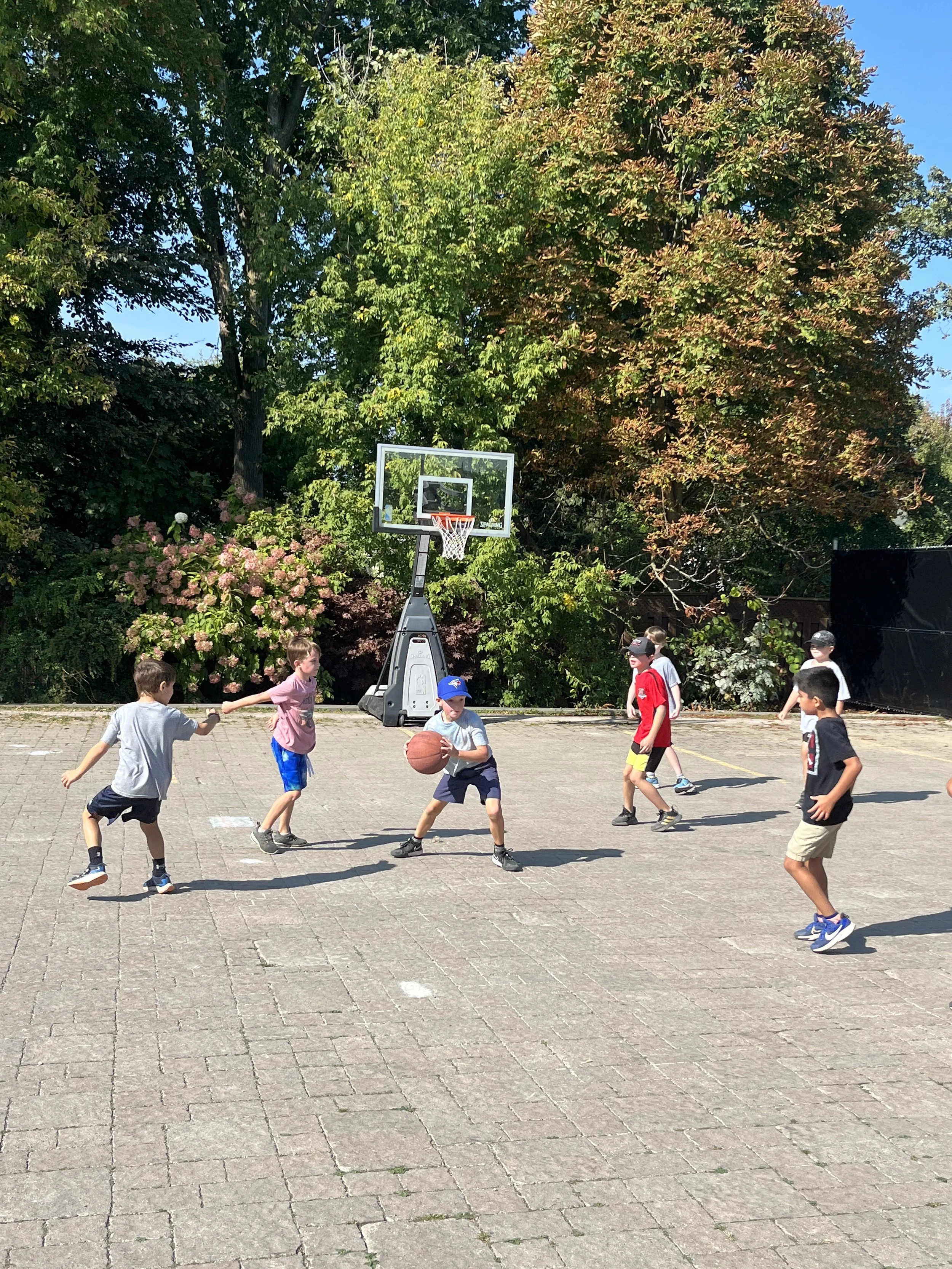 Children playing basketball outdoors on a paved court, surrounded by trees and greenery on a sunny day.